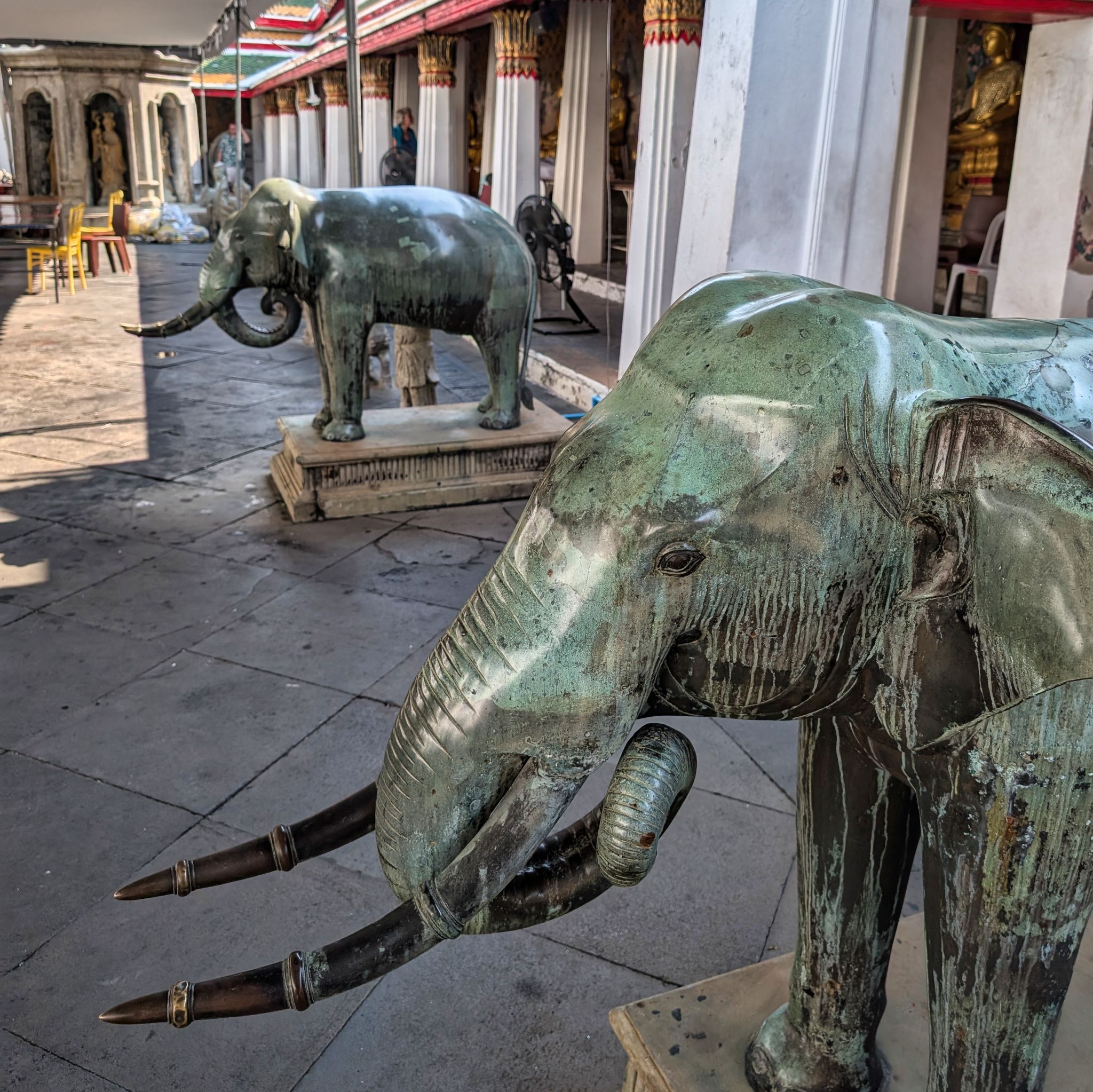 PXL 20250228 075552746