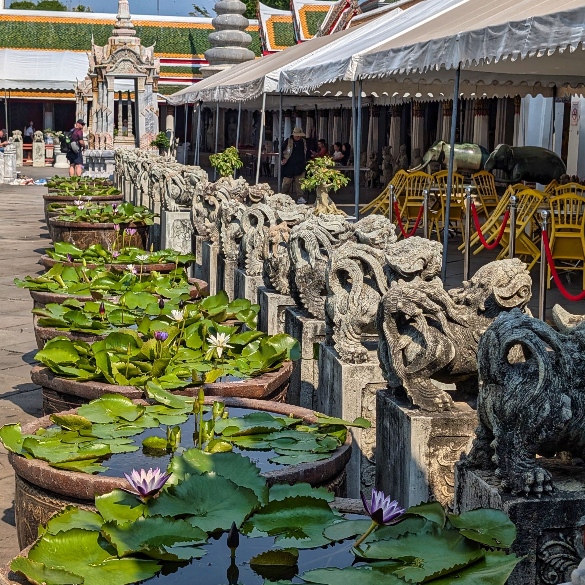 PXL 20250228 075620716