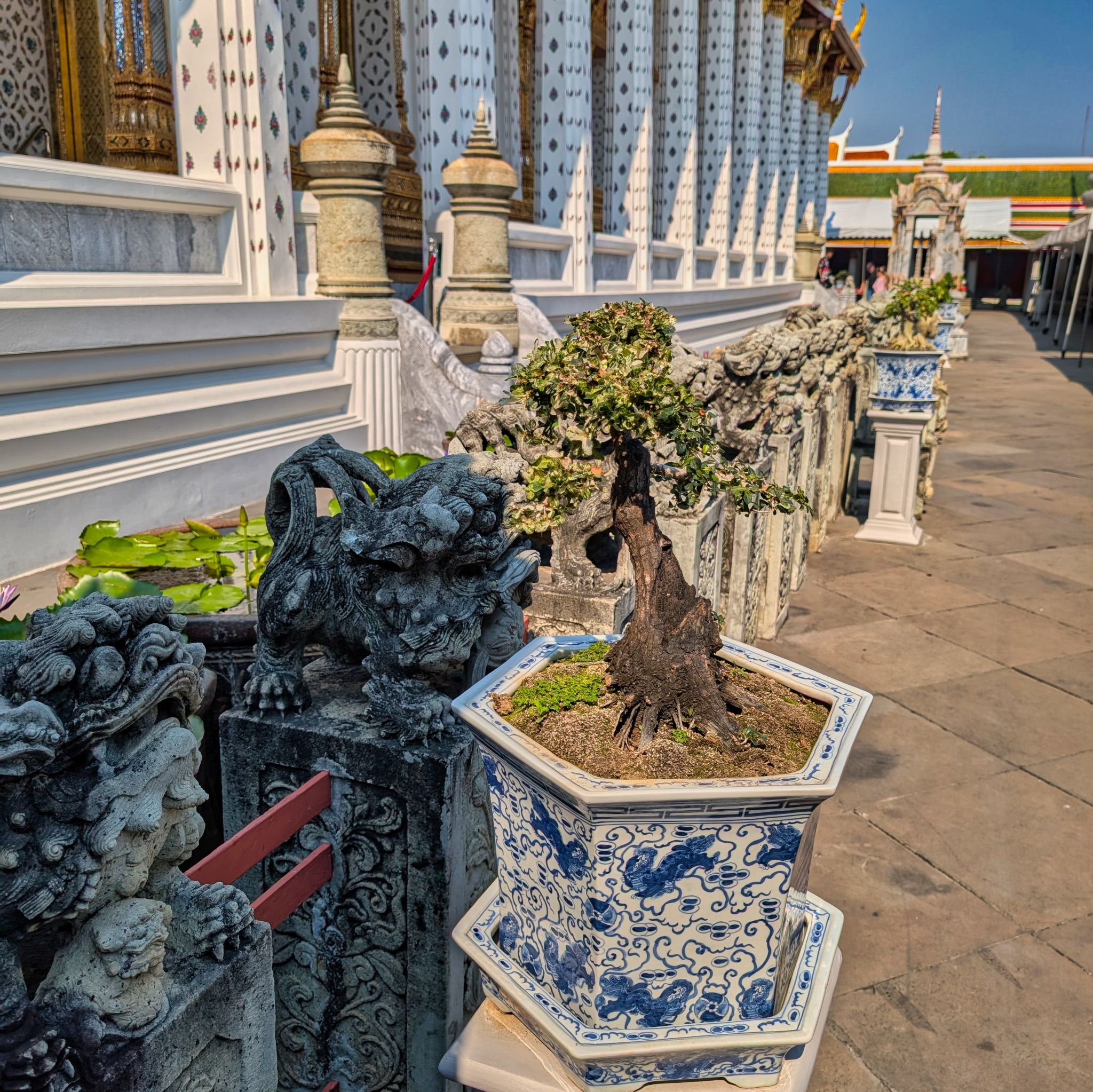 PXL 20250228 075642224