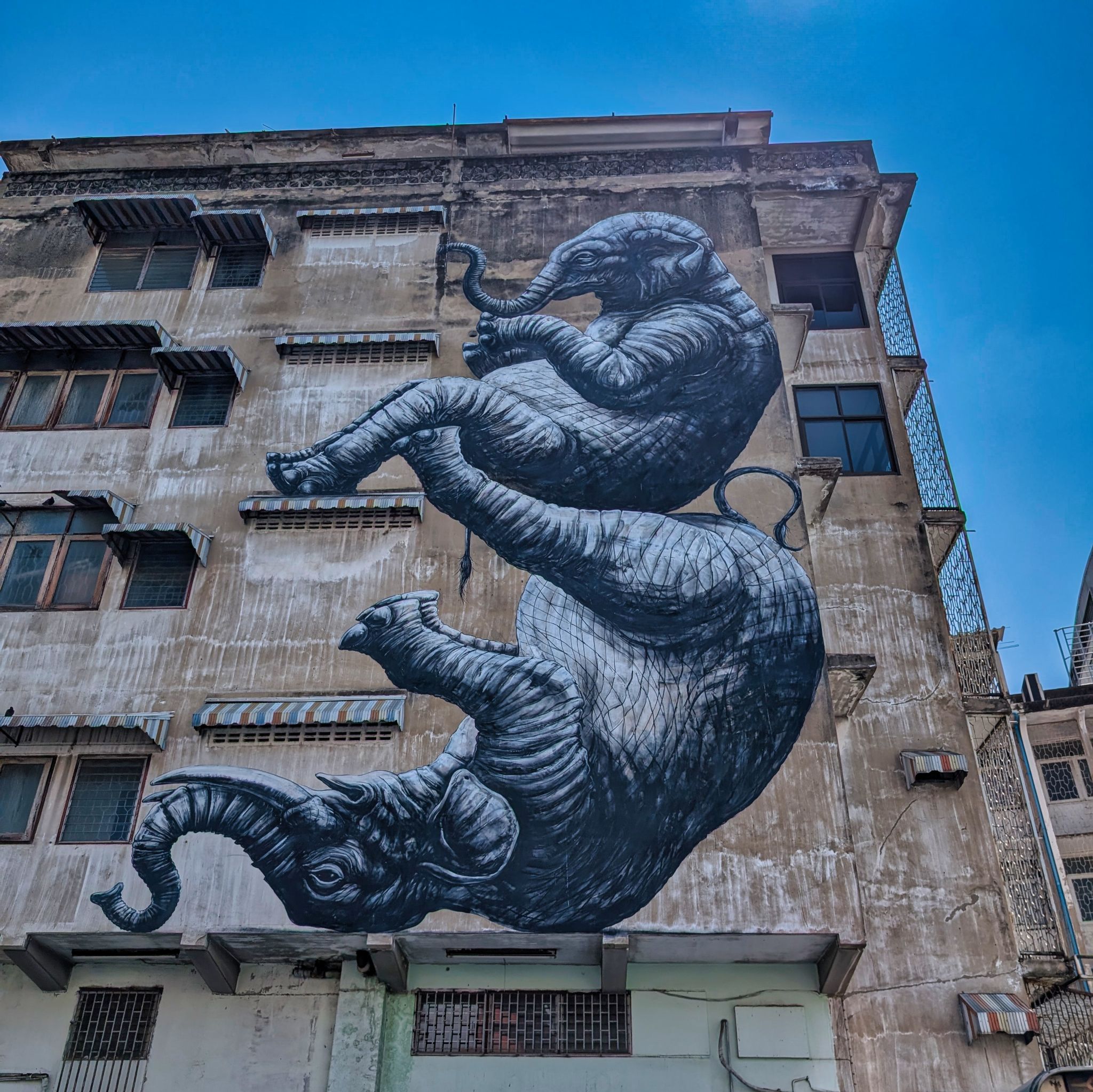 PXL 20250303 043639118