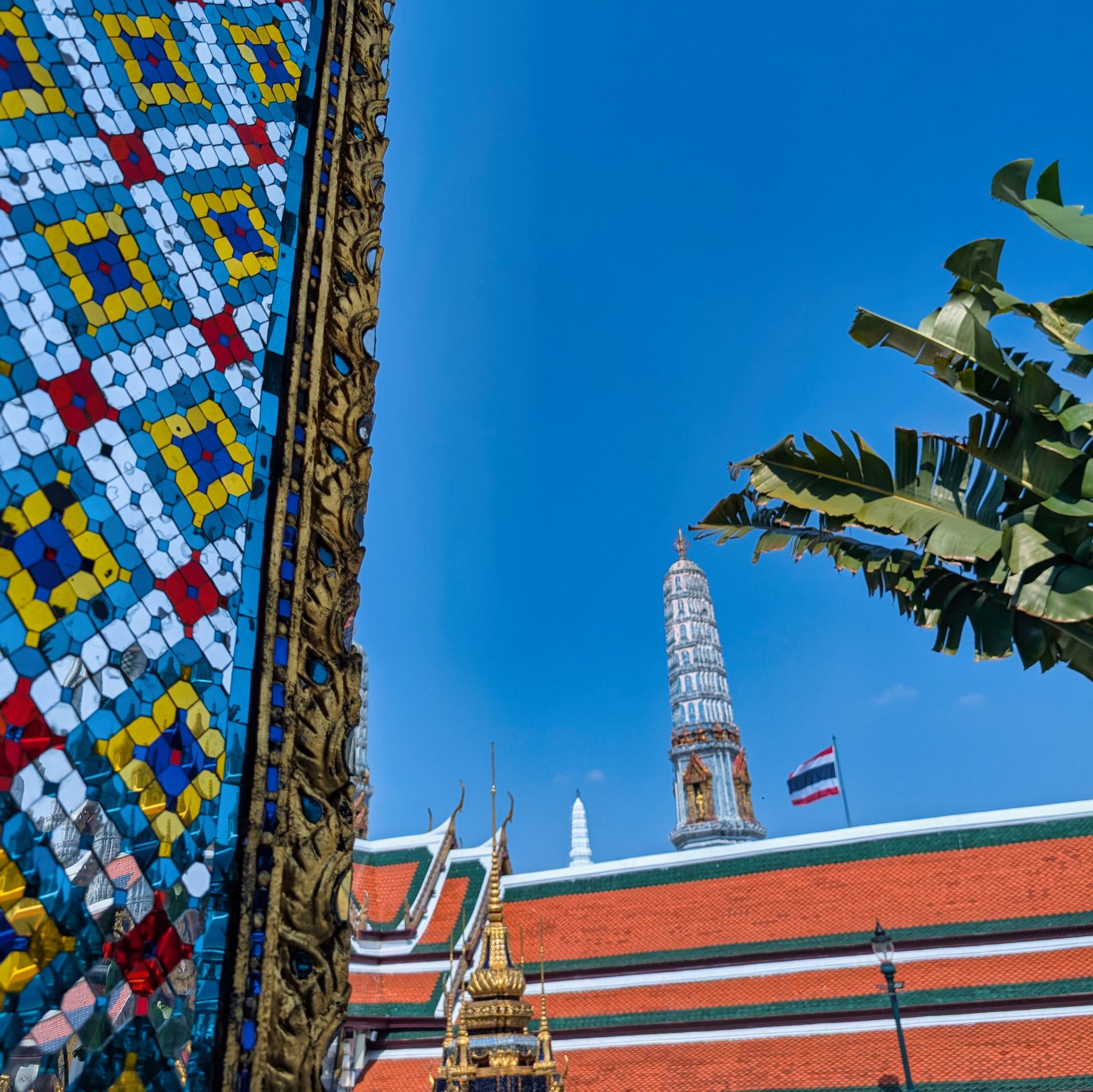 PXL 20250303 072136810.MP