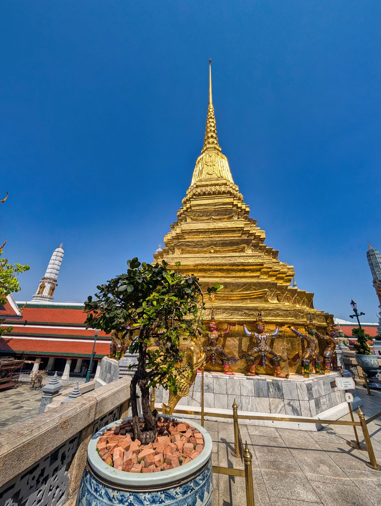 PXL 20250303 073121013