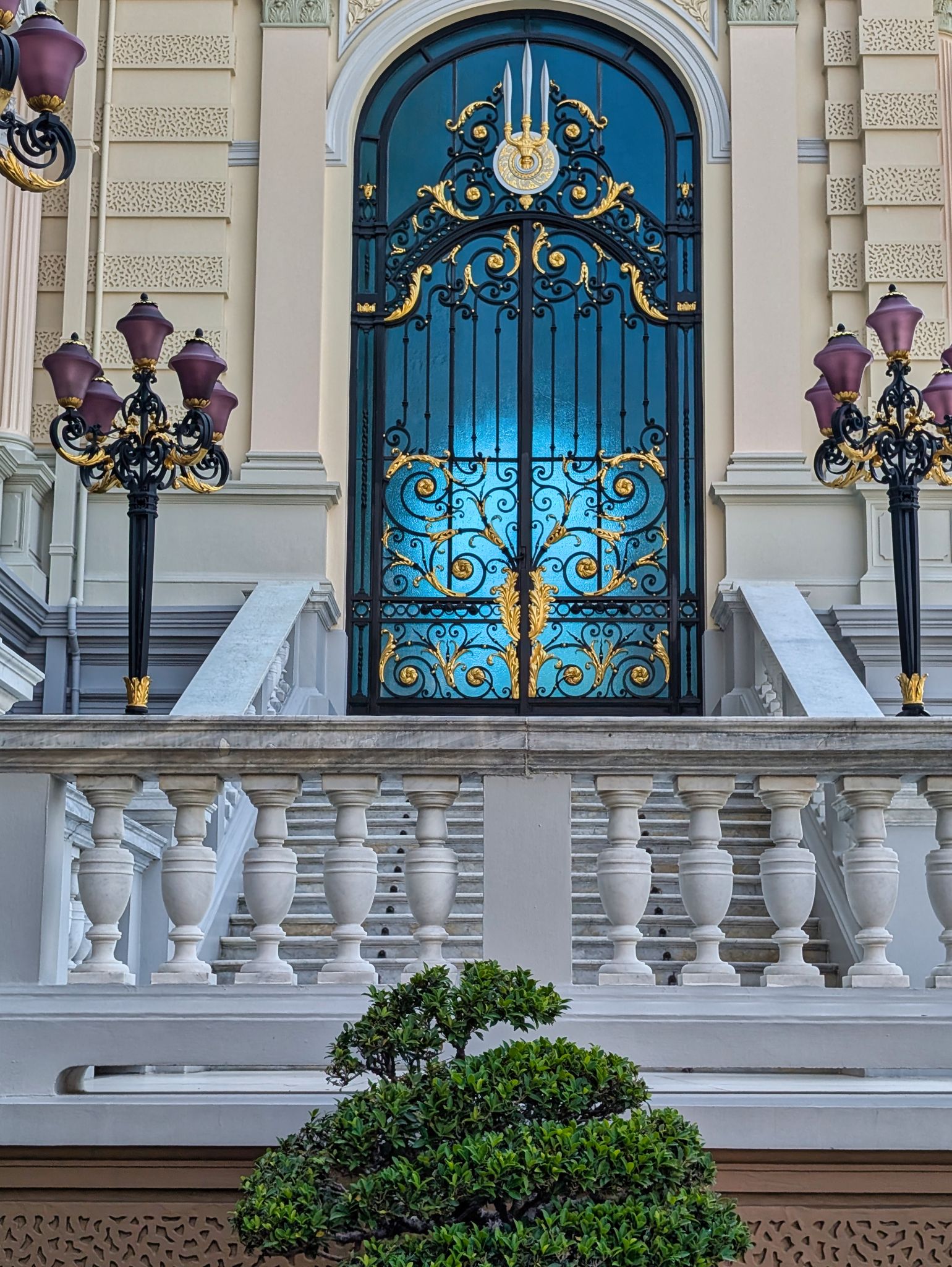 PXL 20250303 075200086