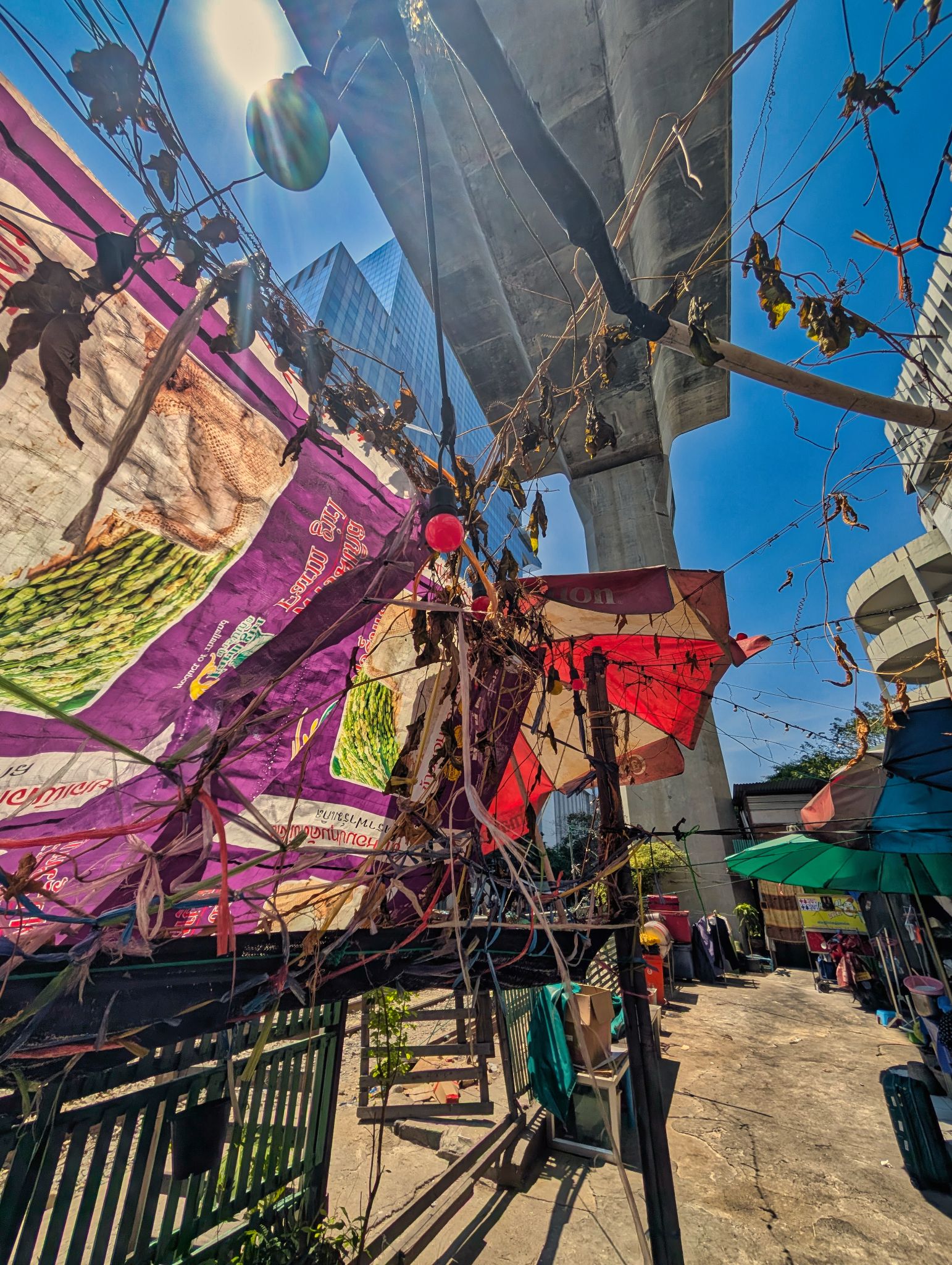 PXL 20250304 055433853