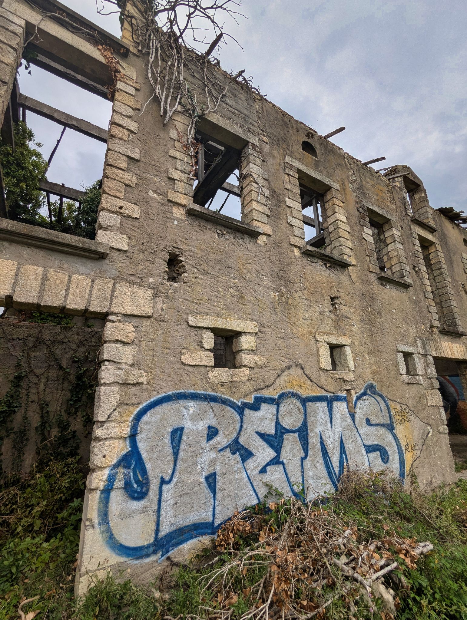 PXL 20240921 124654080