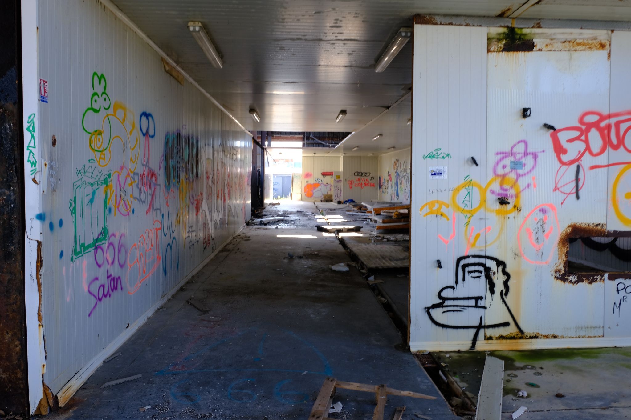 DSCF0519