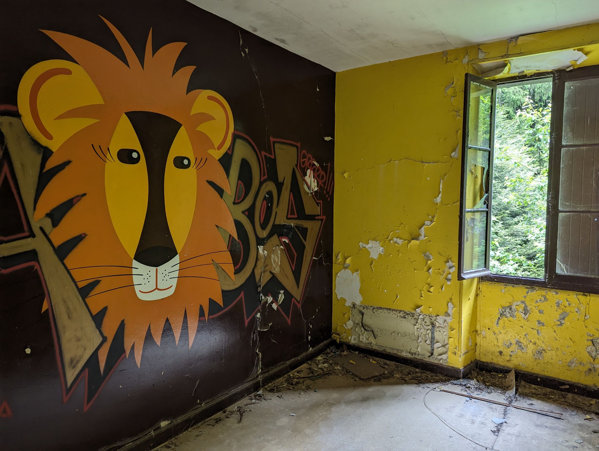 PXL 20240614 093625405