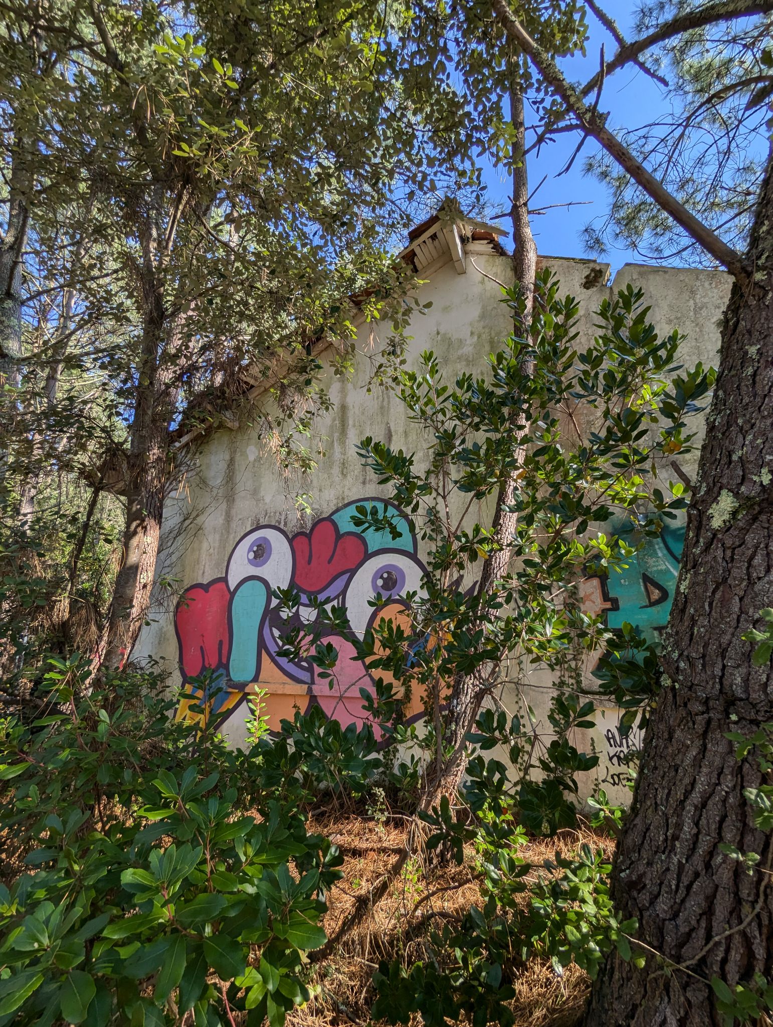 PXL 20241013 115704321