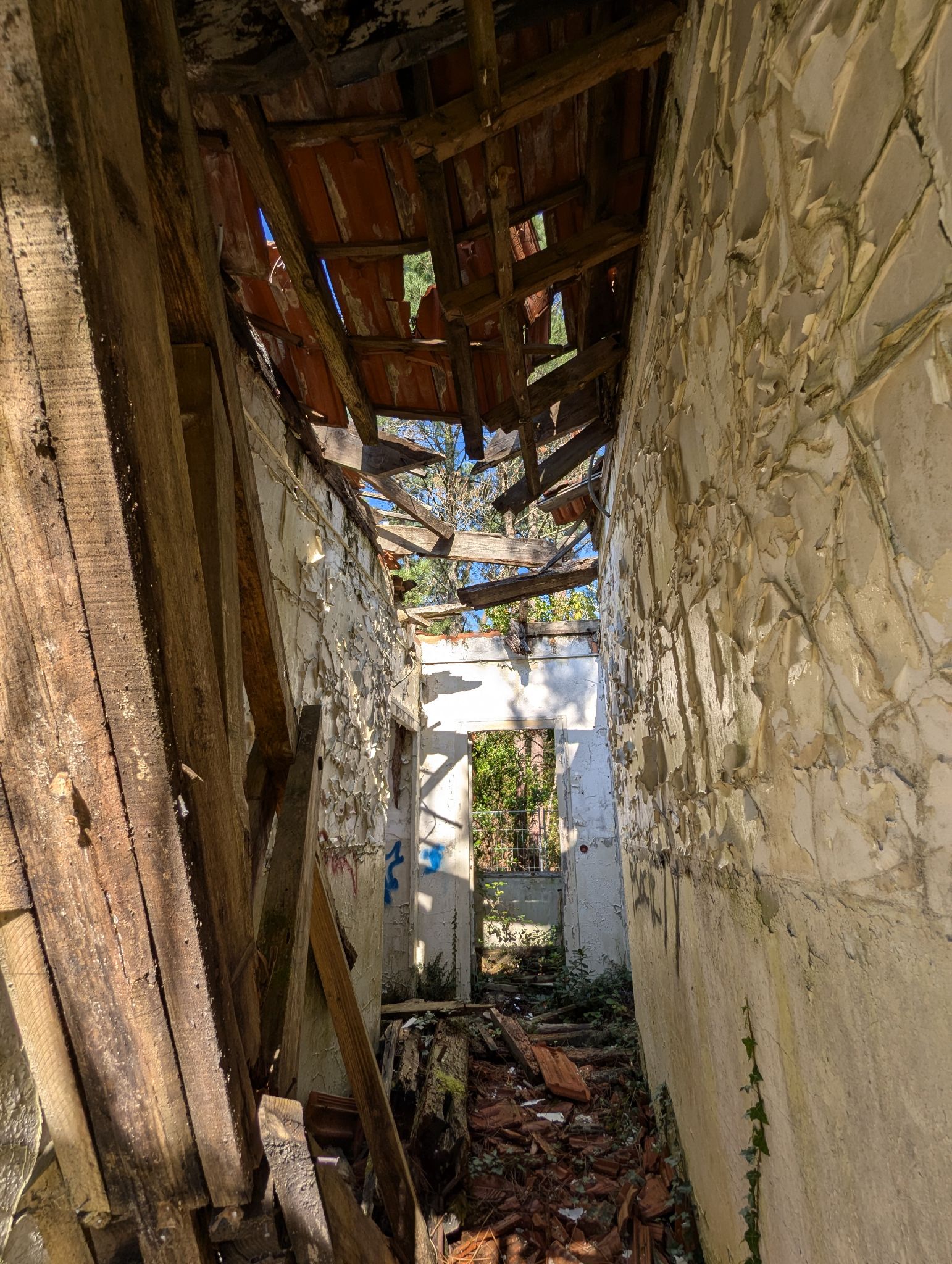 PXL 20241013 115842100