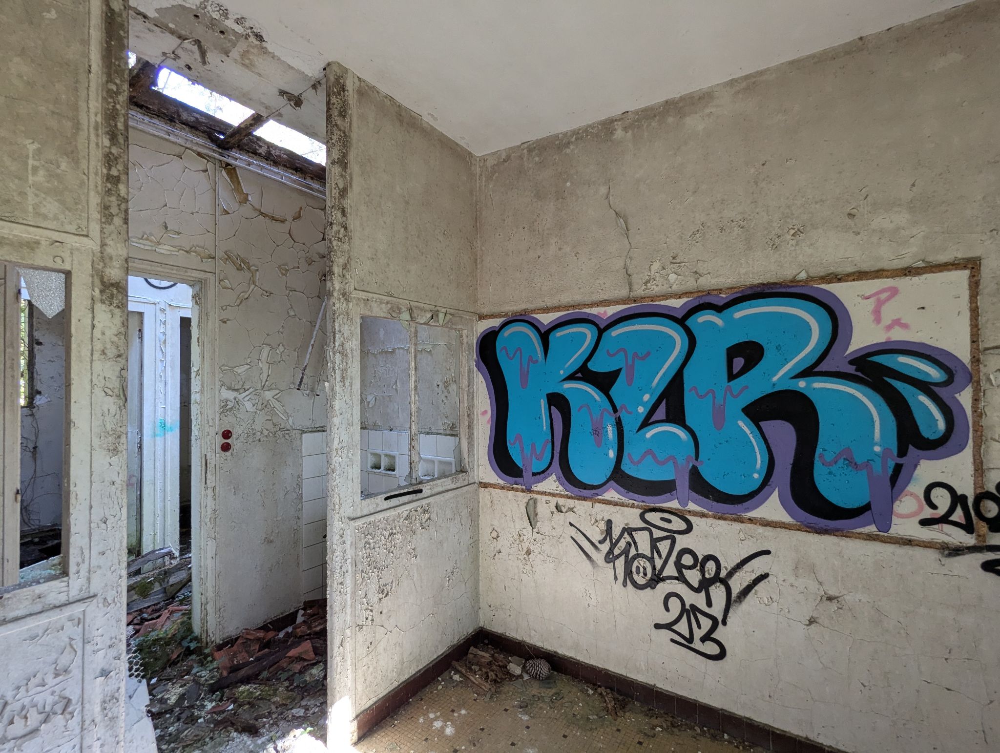 PXL 20241013 120859867