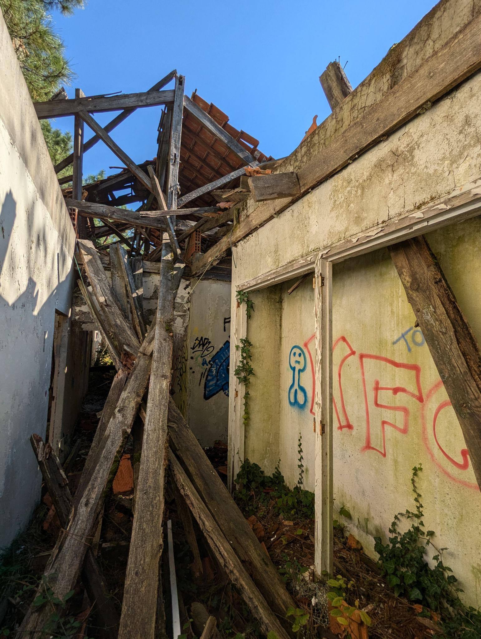 PXL 20241013 121410142