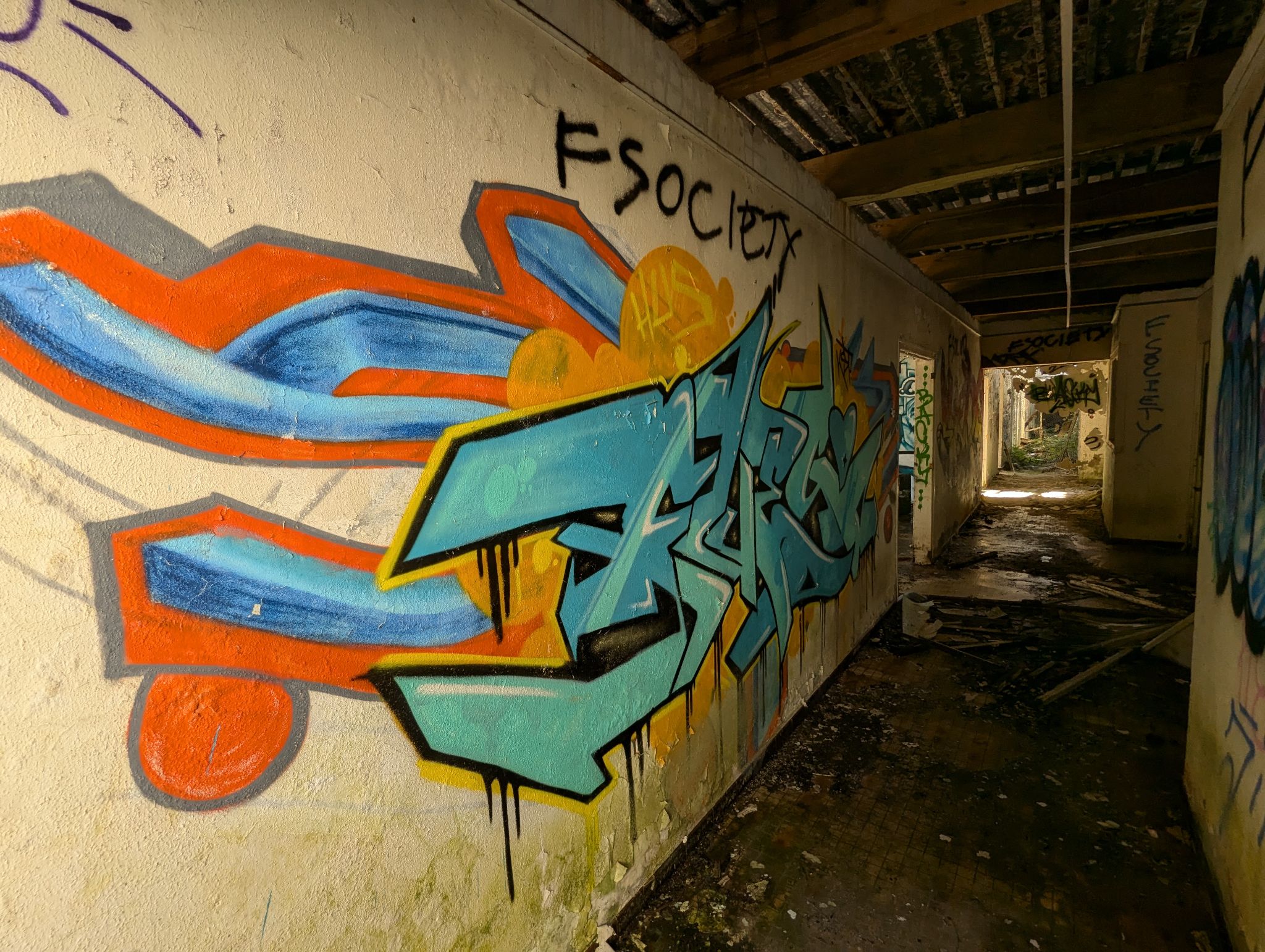 PXL 20241013 121427852