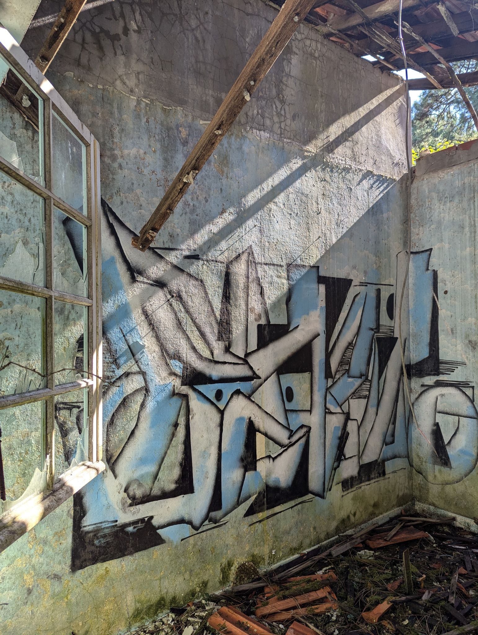 PXL 20241013 121801530.MP