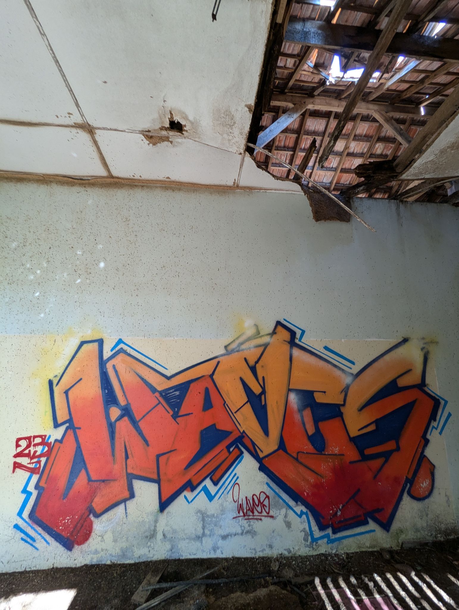 PXL 20241013 122103496.MP