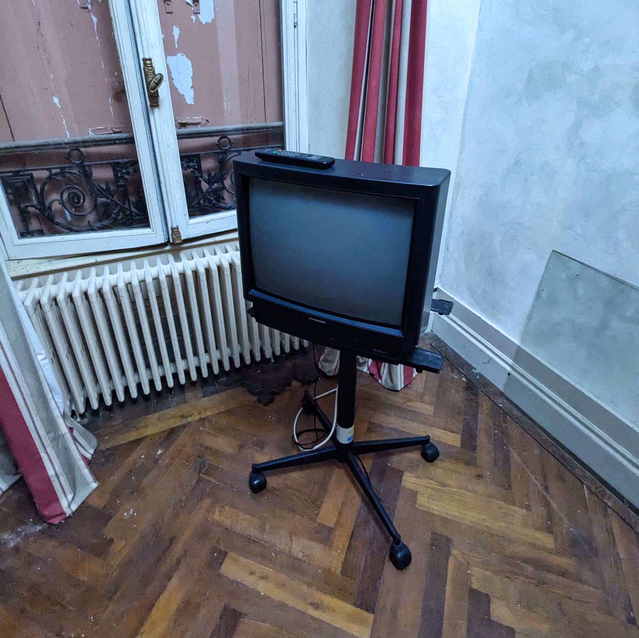 PXL 20241020 123636470