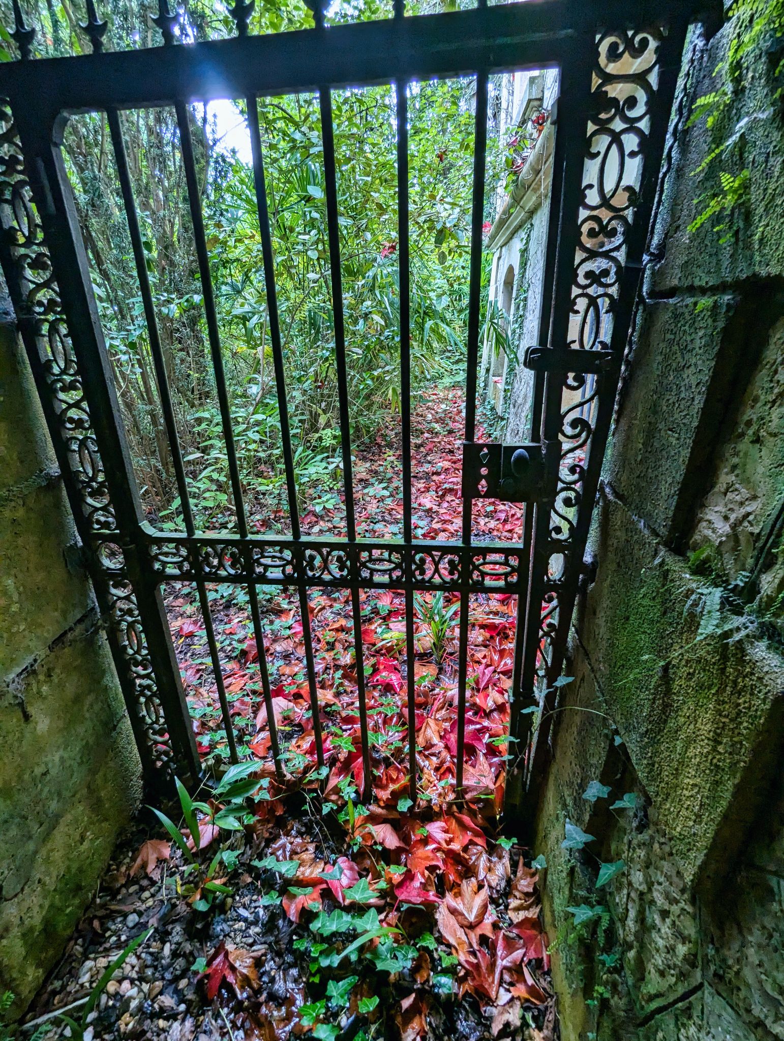 PXL 20241020 124213300