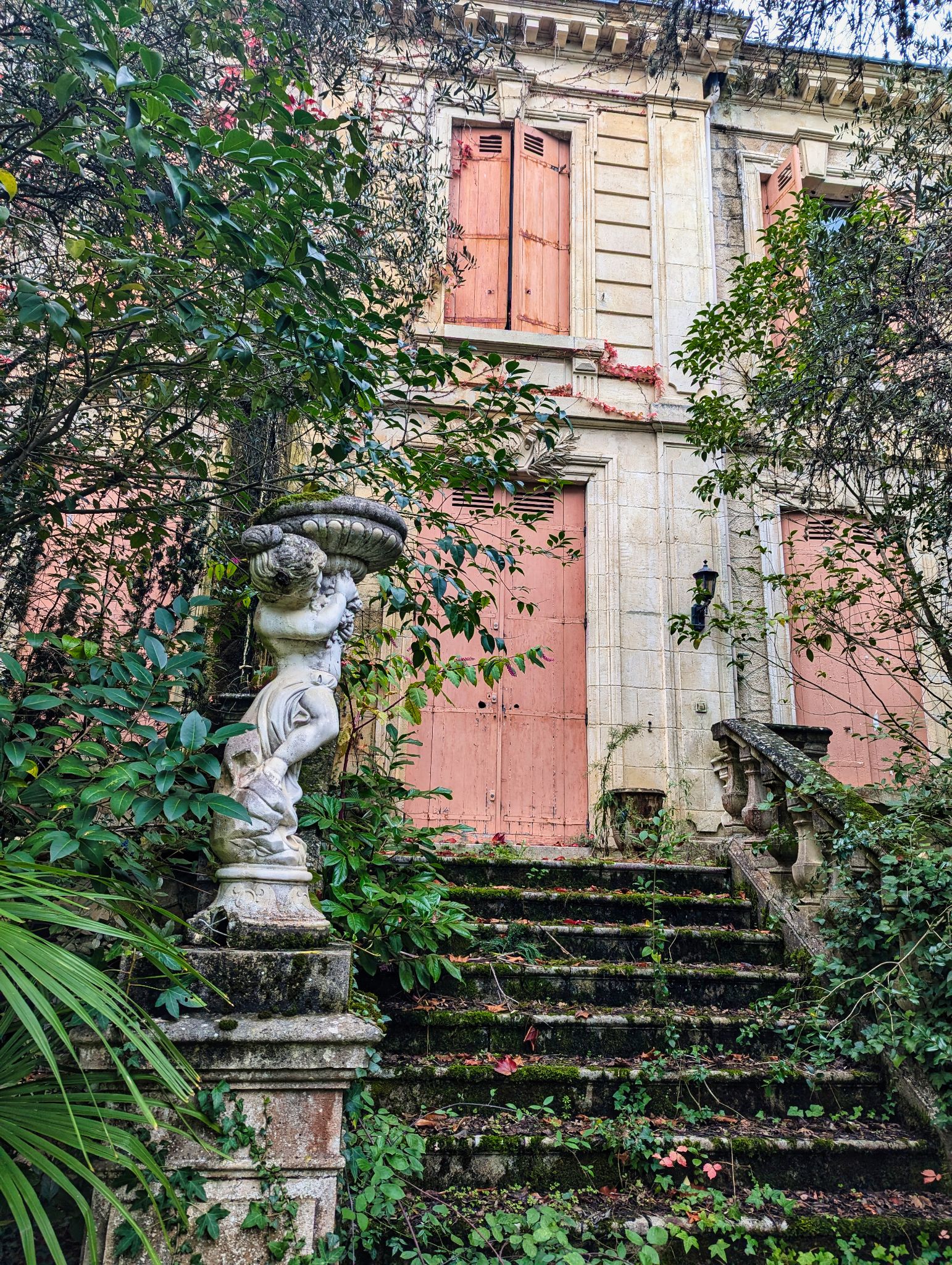 PXL 20241020 130250733