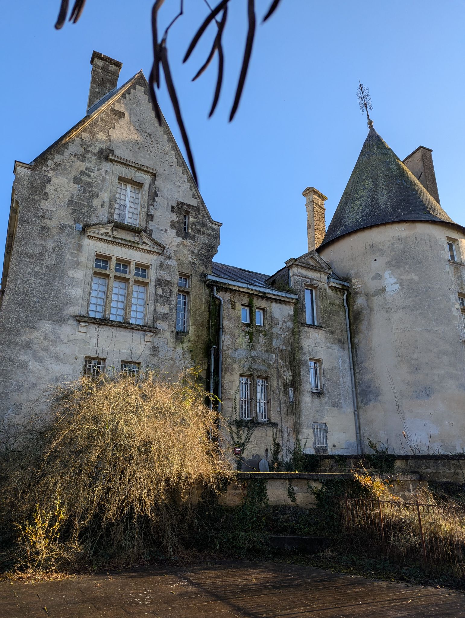 PXL 20241215 140713129.MP