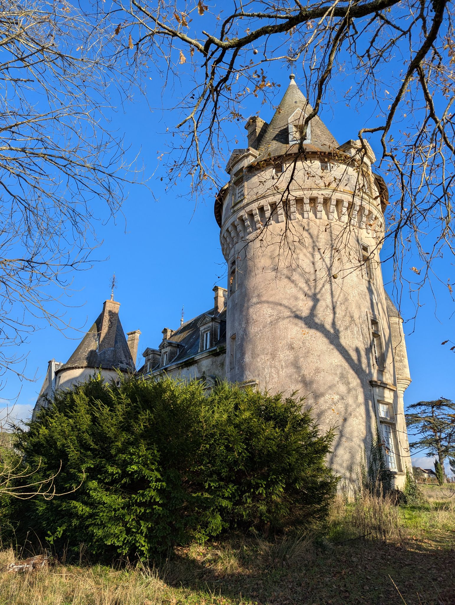 PXL 20241215 141002979