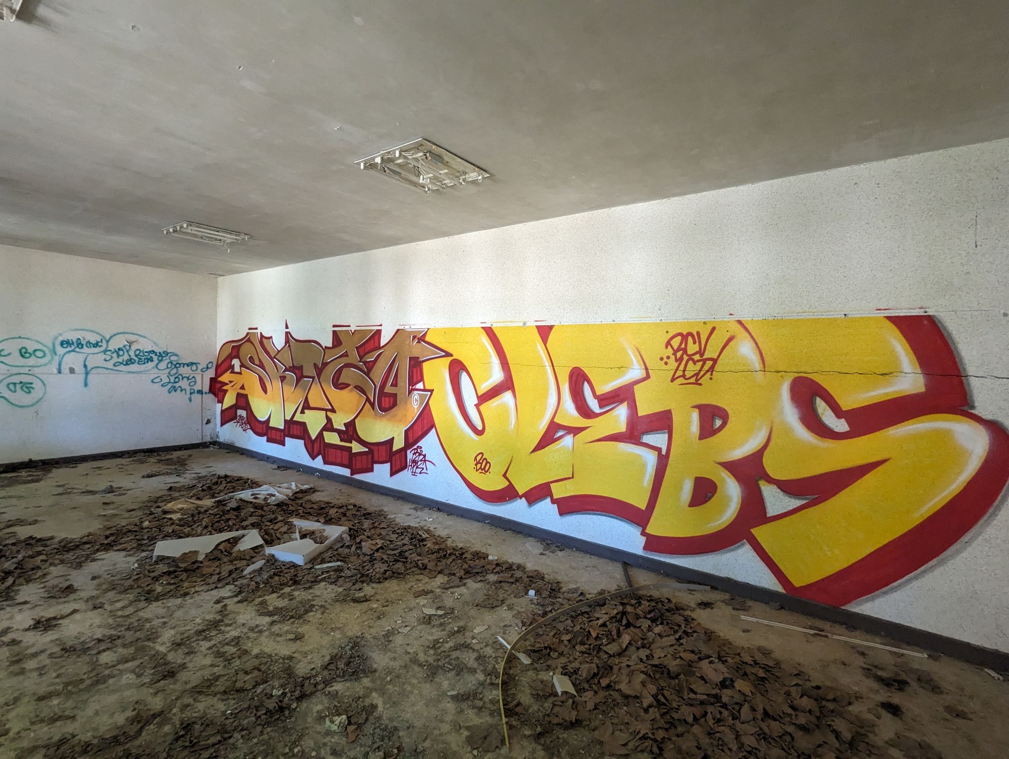 PXL 20240510 120702418