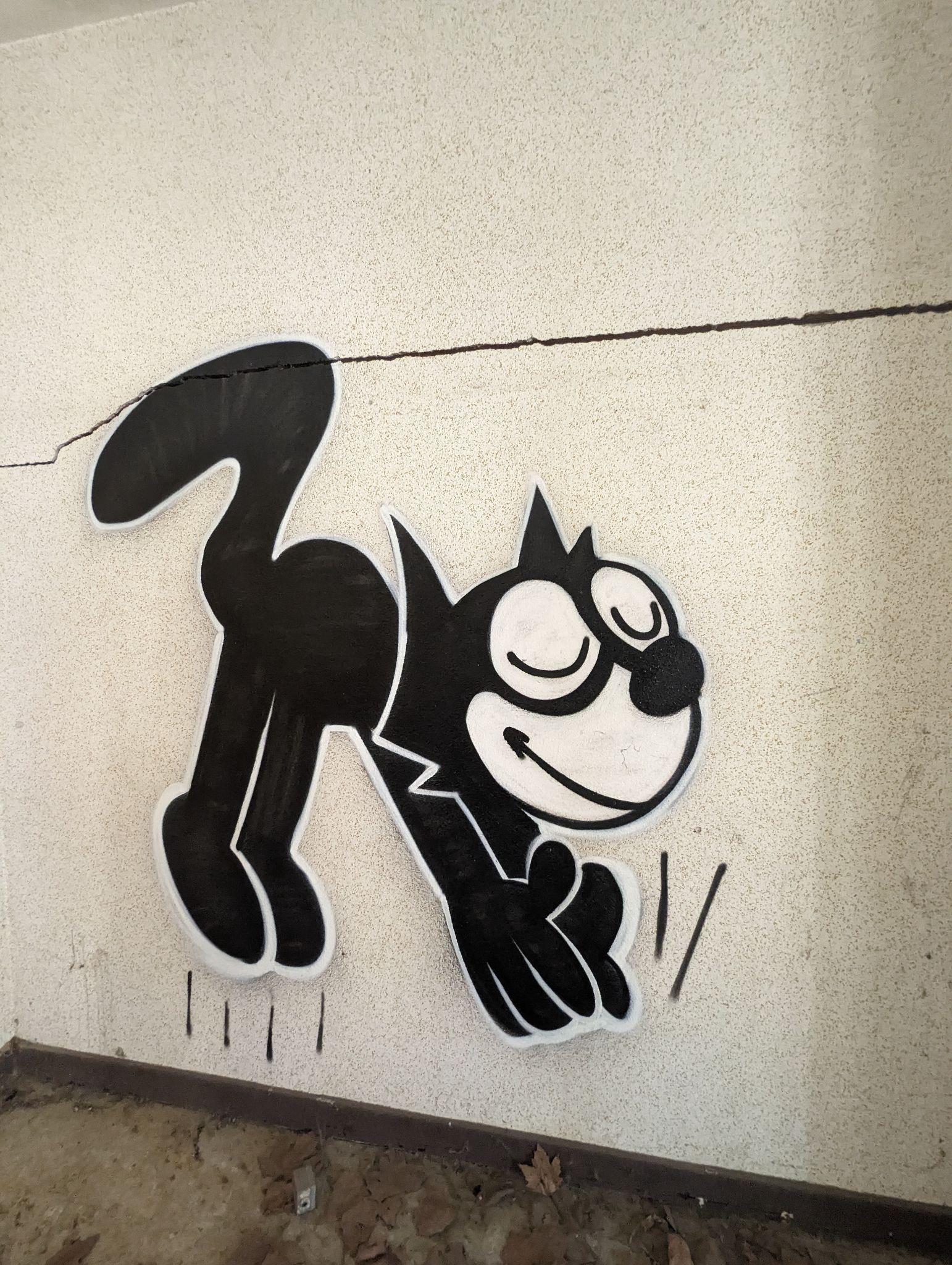 PXL 20240510 121027942