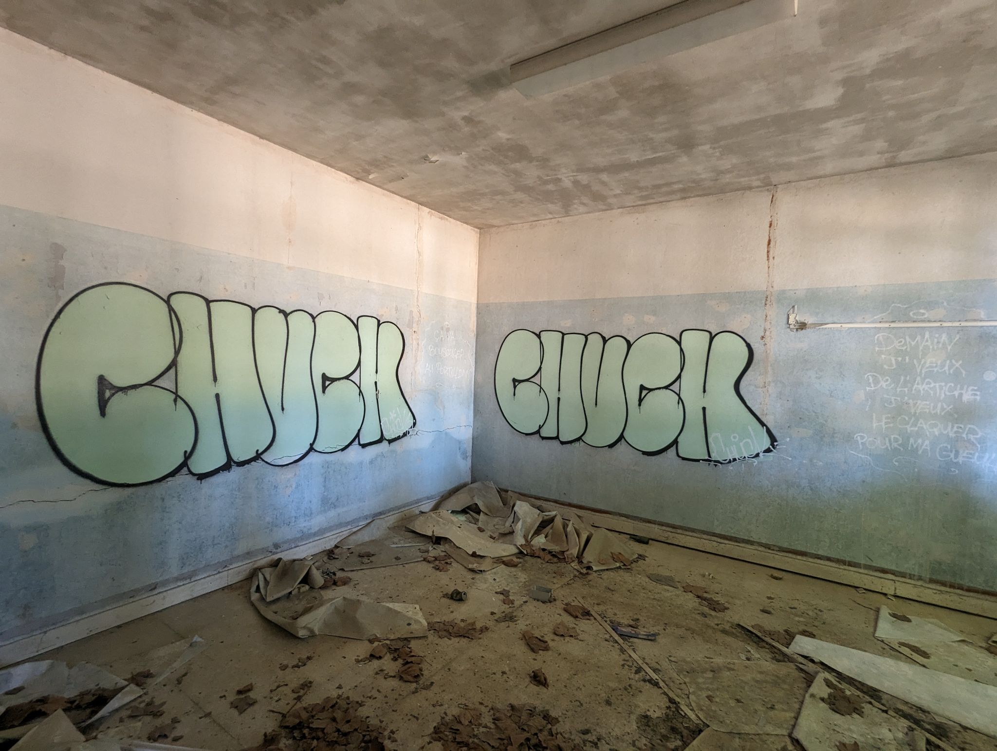 PXL 20240510 121210117.MP