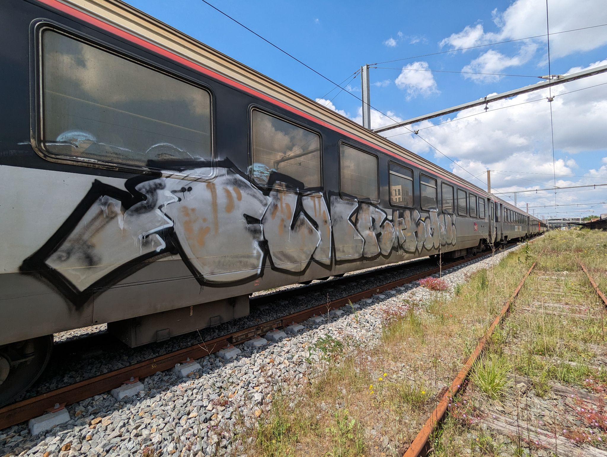 PXL 20240508 122847452