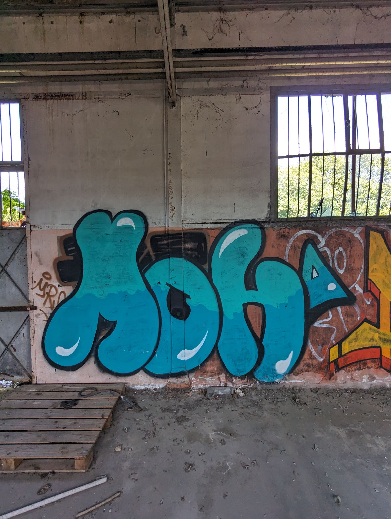 PXL 20240408 110652223