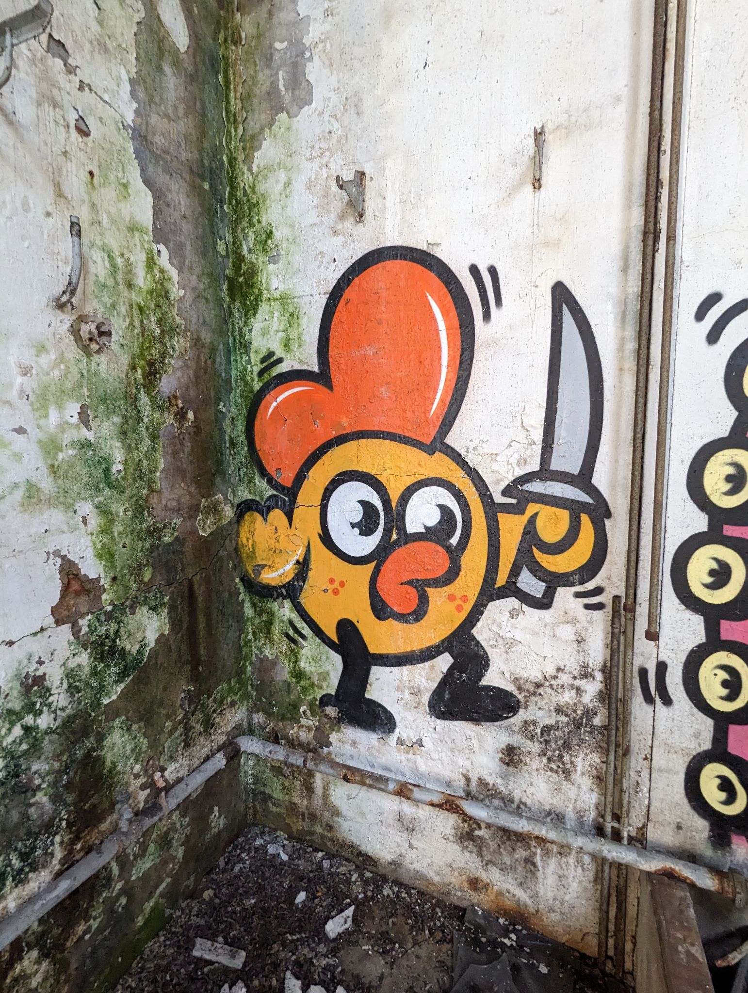 PXL 20240408 111658098