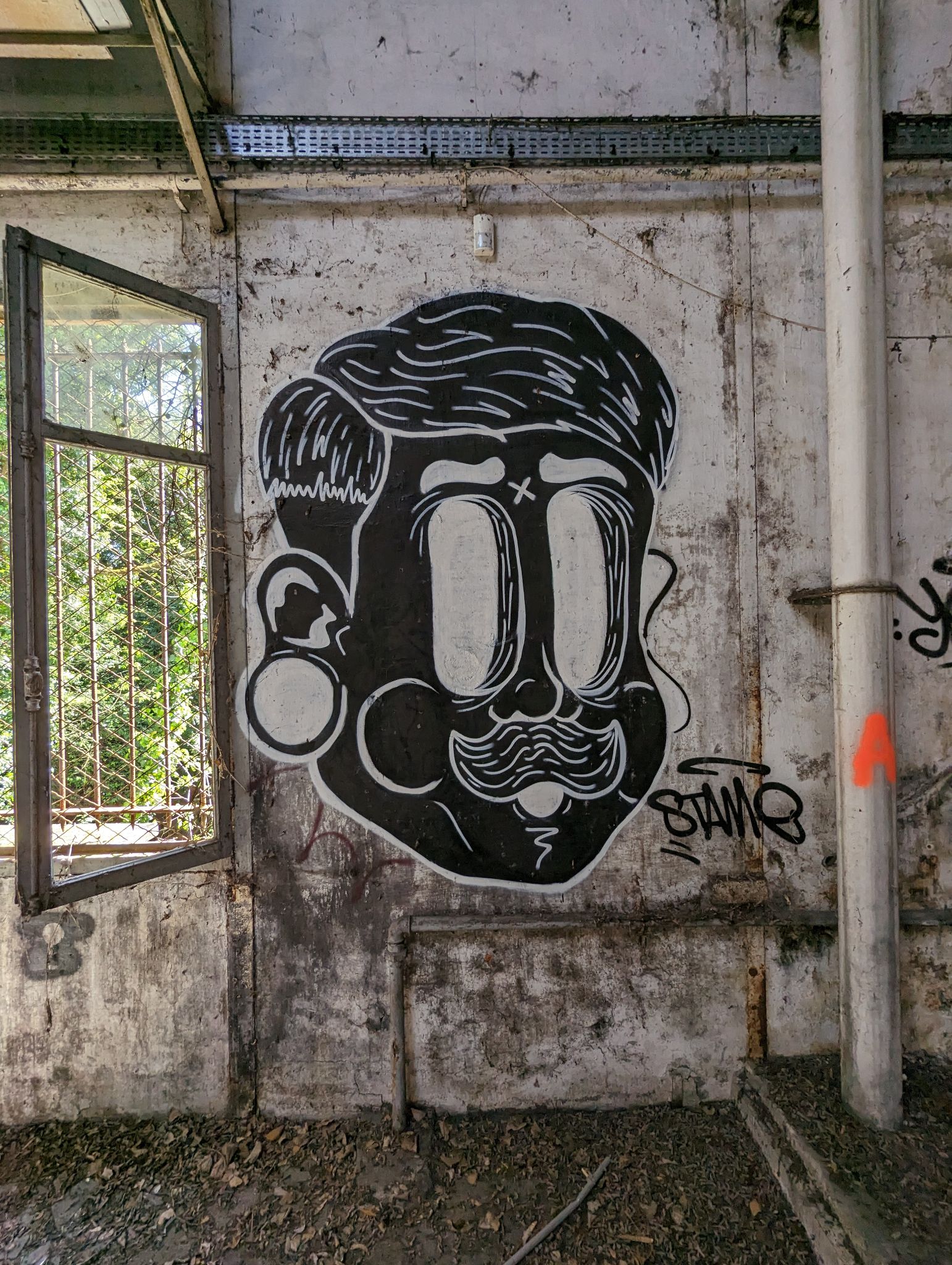 PXL 20240408 111704834