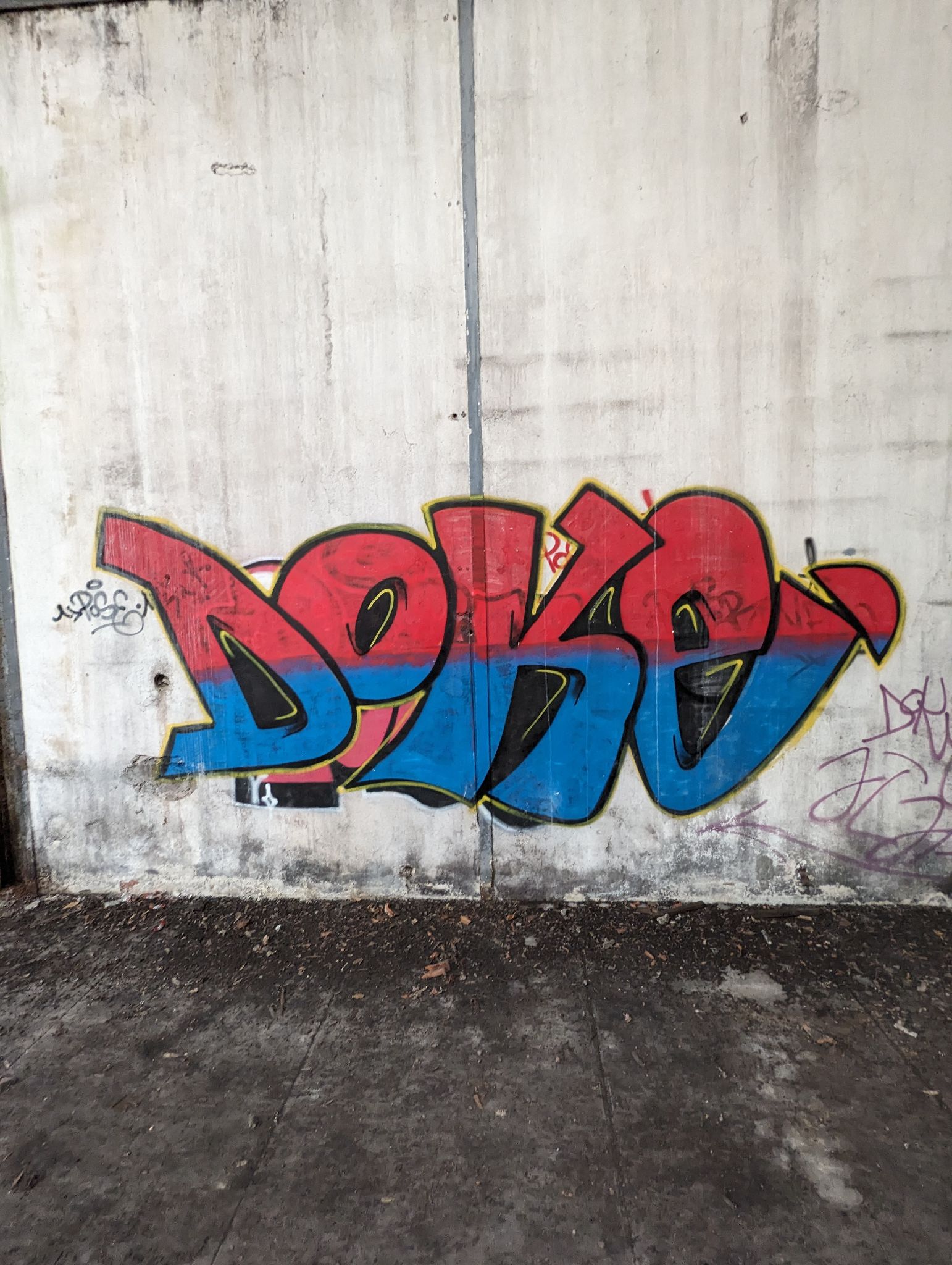 PXL 20240408 111801072