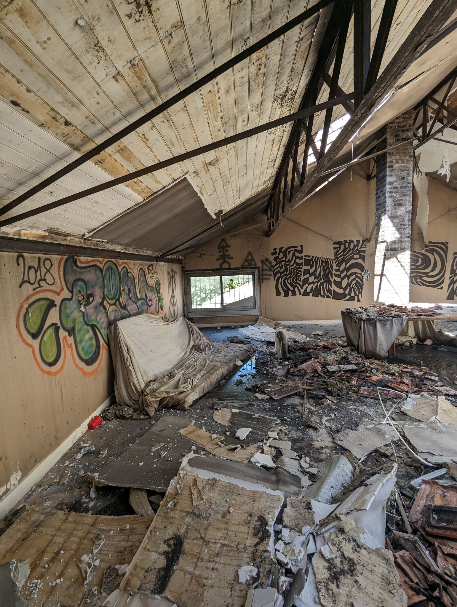 PXL 20240408 113954799