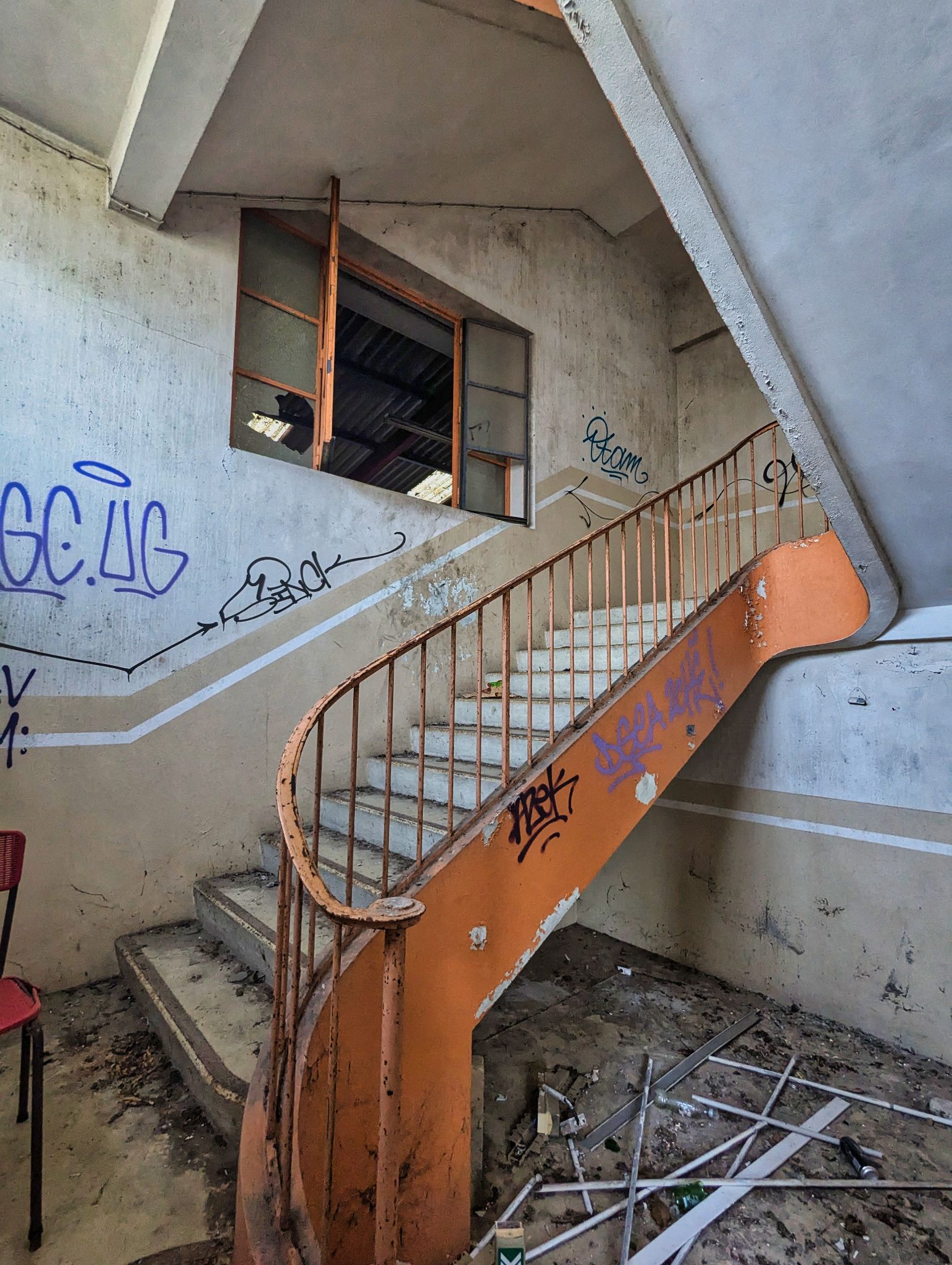 PXL 20241020 083524186