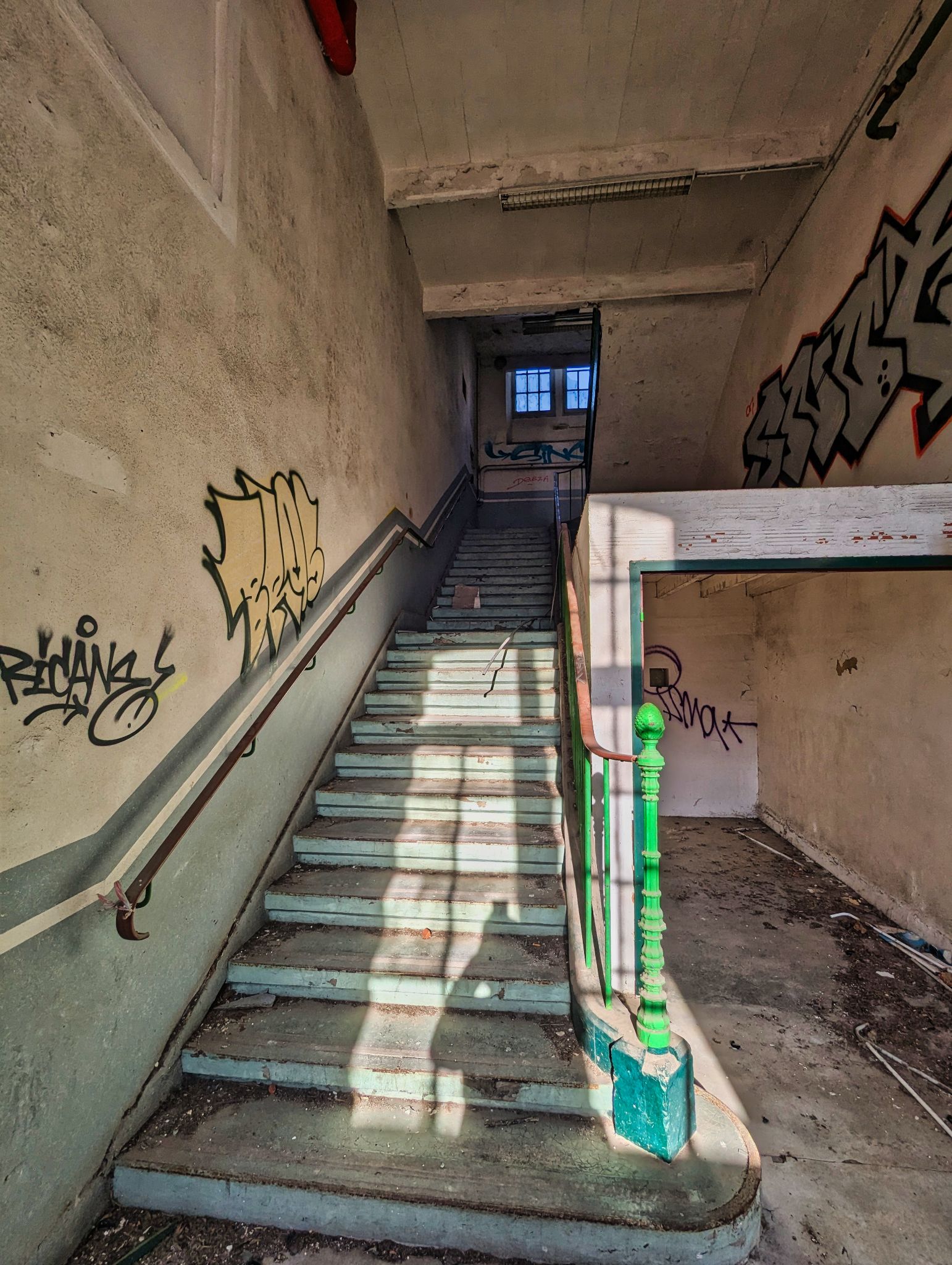 PXL 20241020 084318849