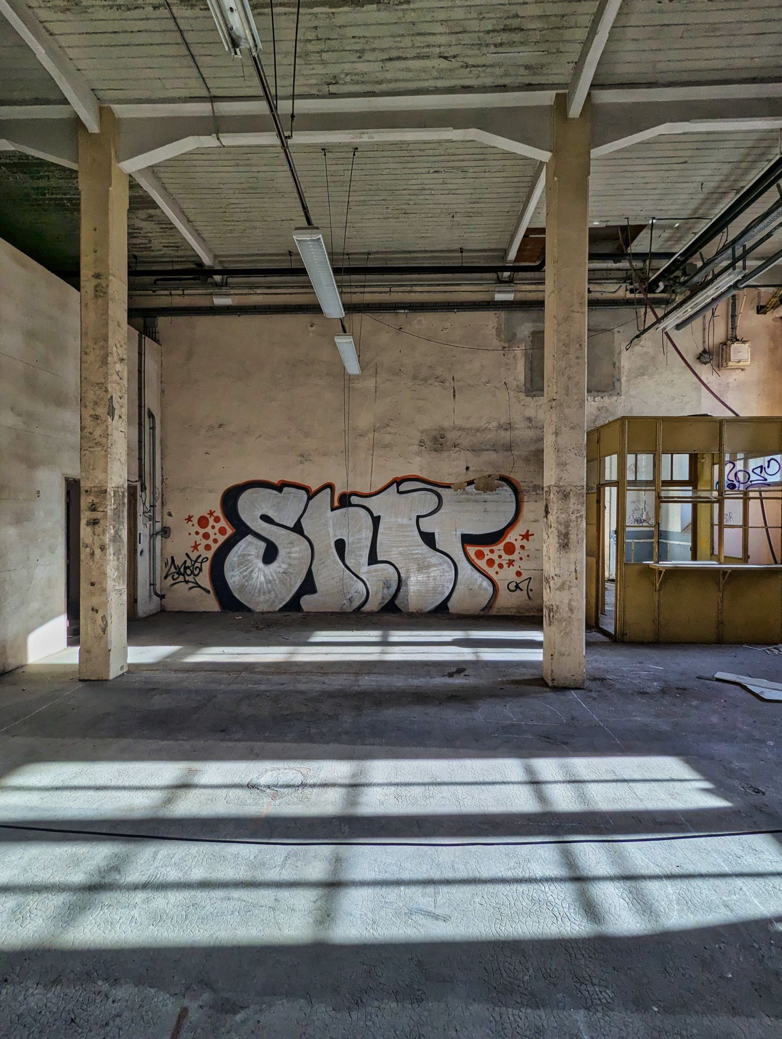 PXL 20241020 084417539