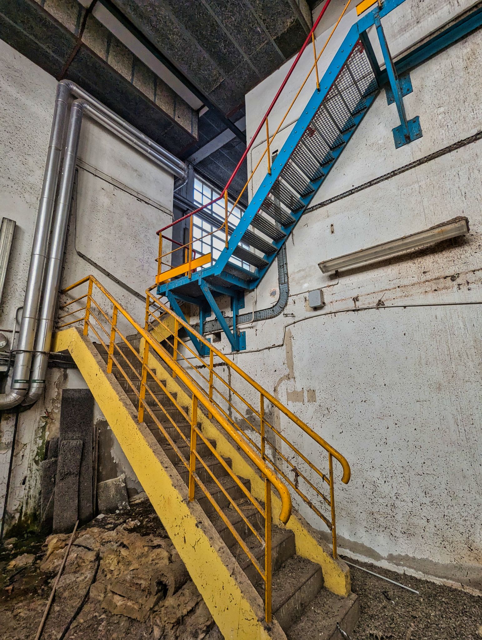 PXL 20241020 090811114