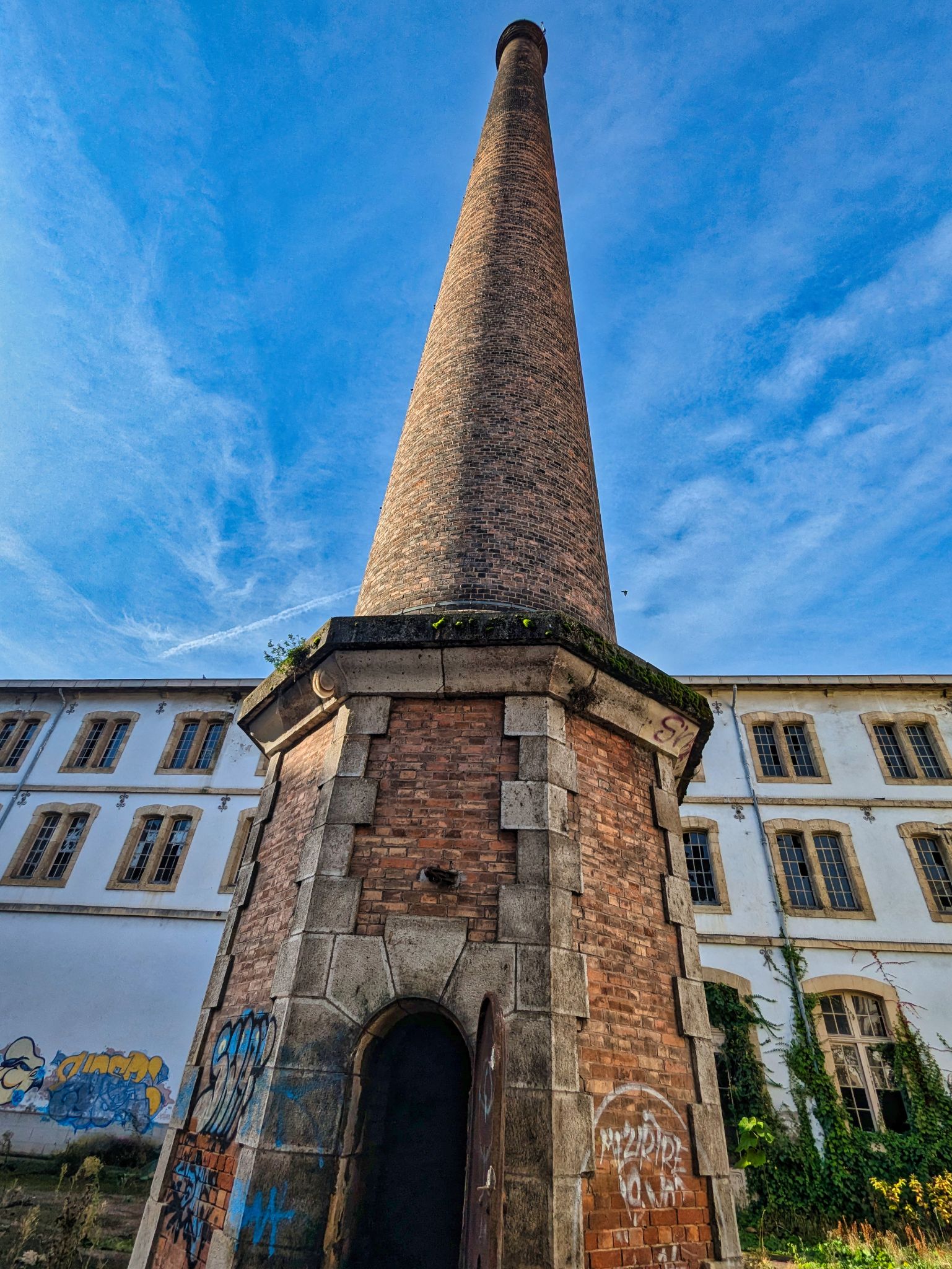 PXL 20241020 091034234