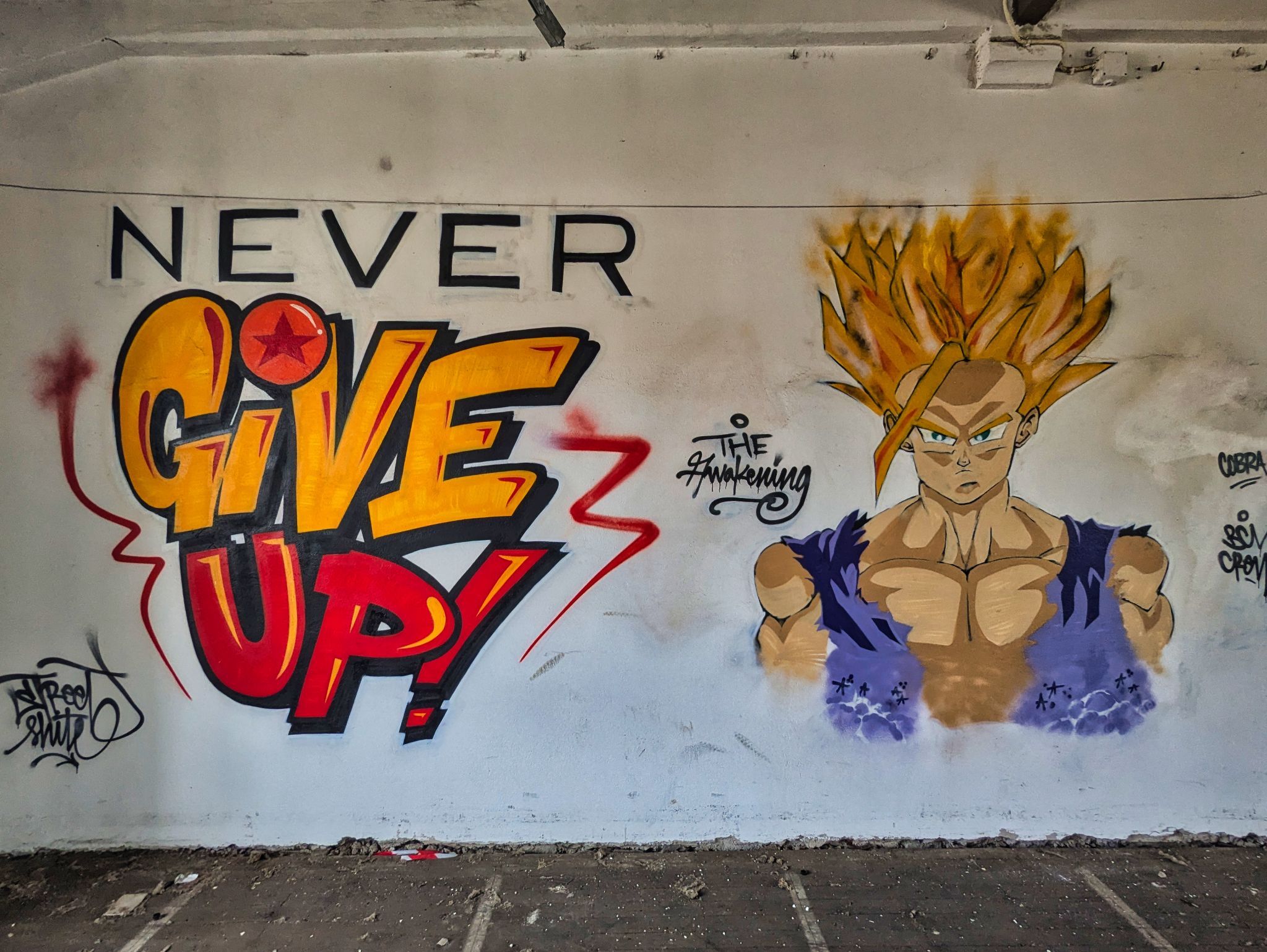 PXL 20241020 104133397