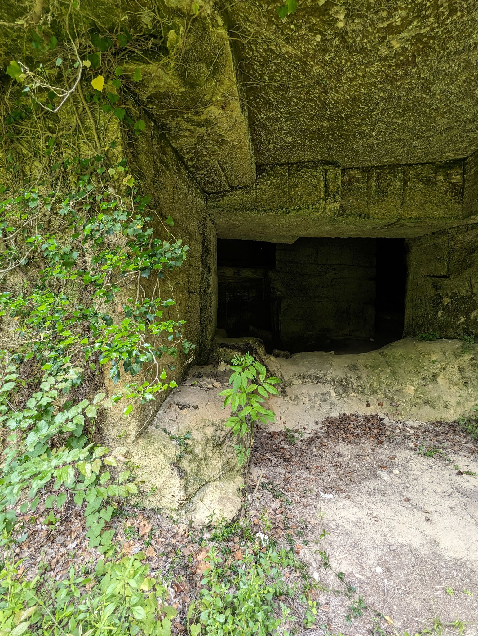 PXL 20240607 110309730