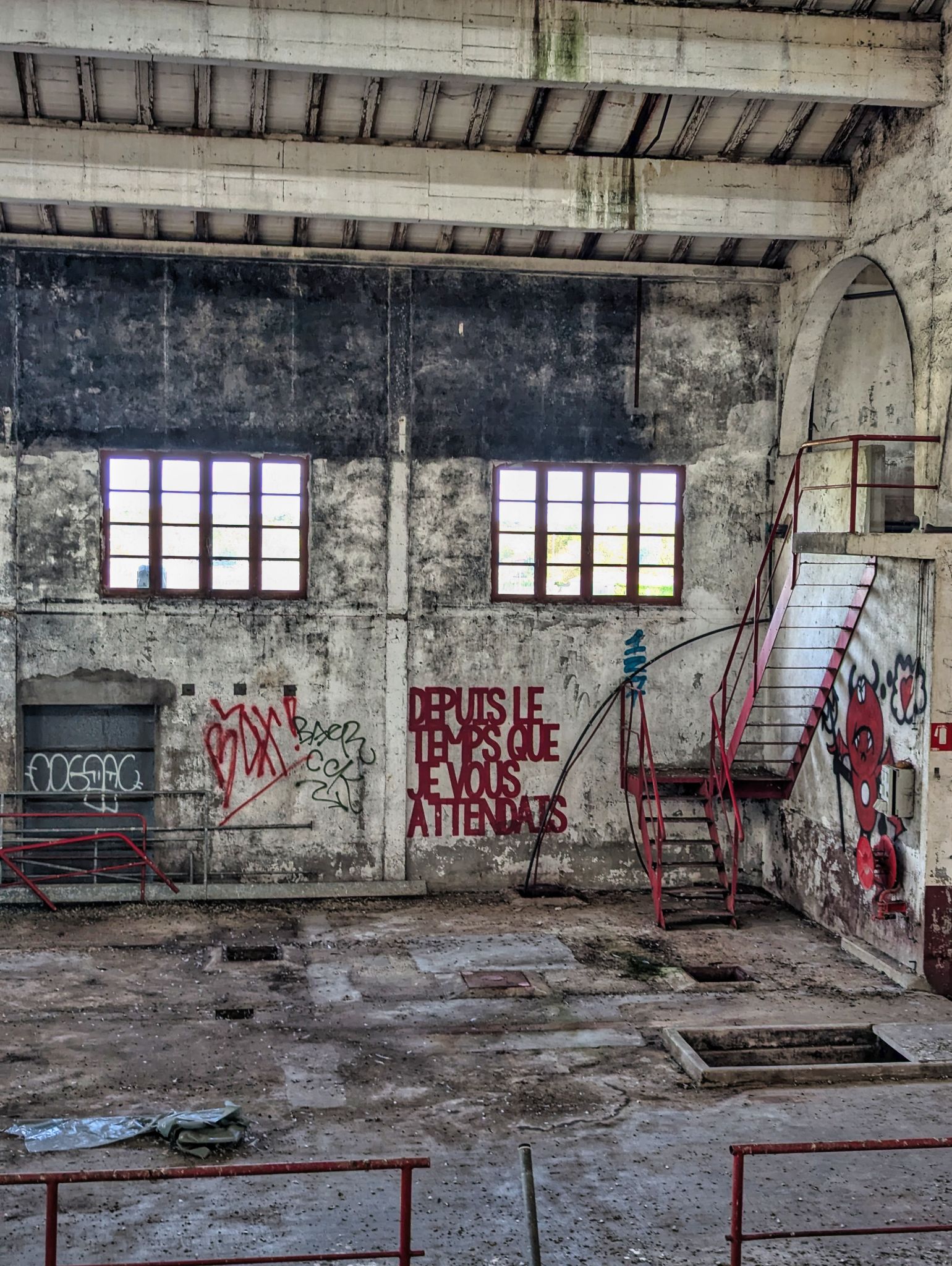 PXL 20241124 131516135