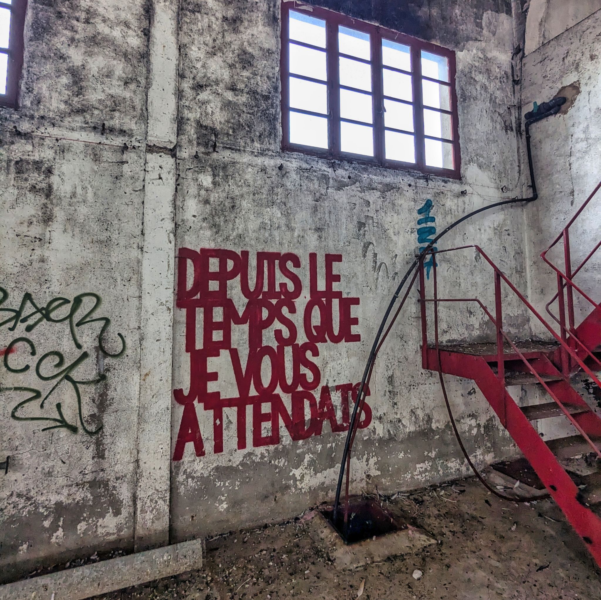 PXL 20241124 131800311