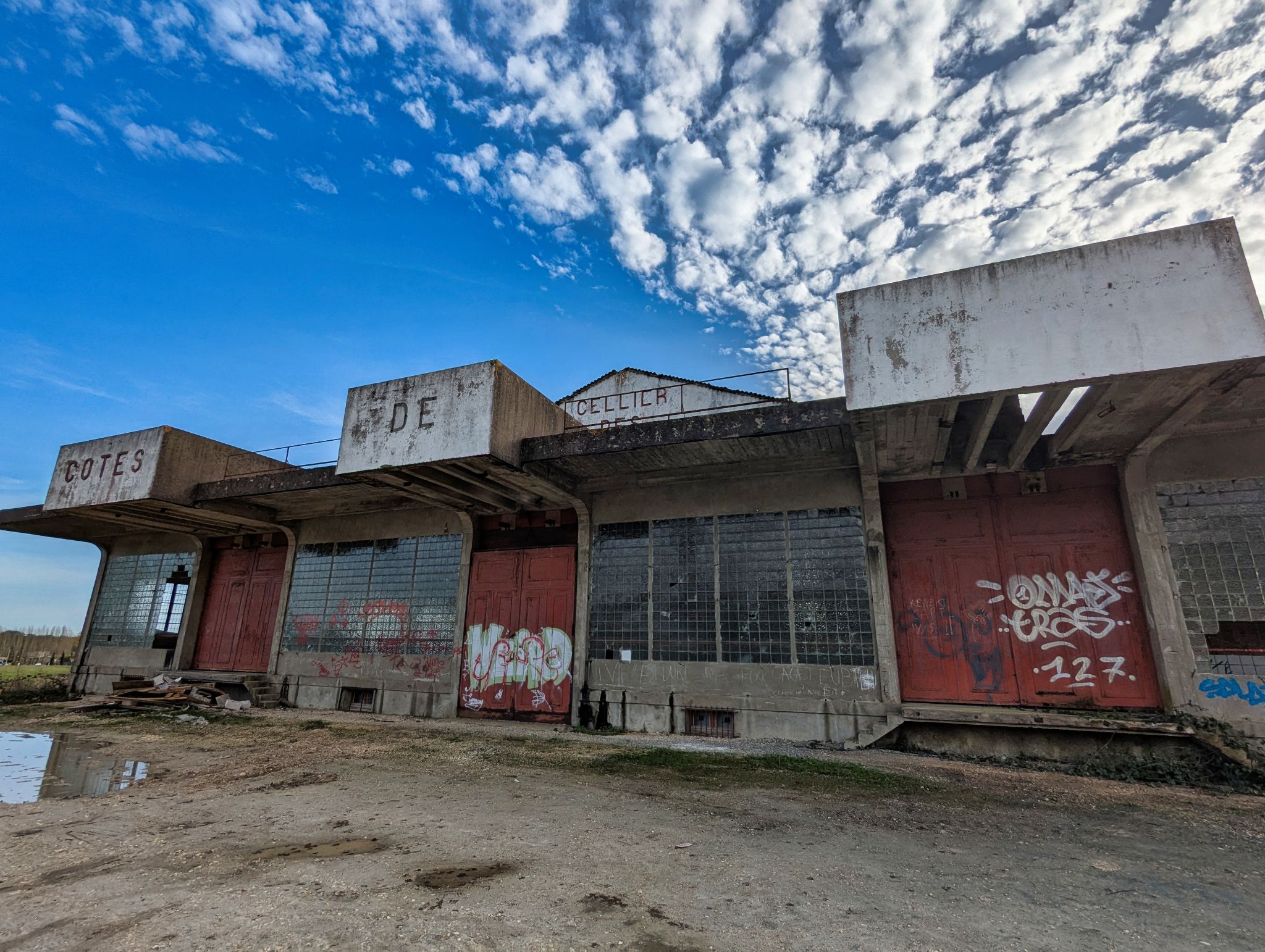 PXL 20241124 132213258