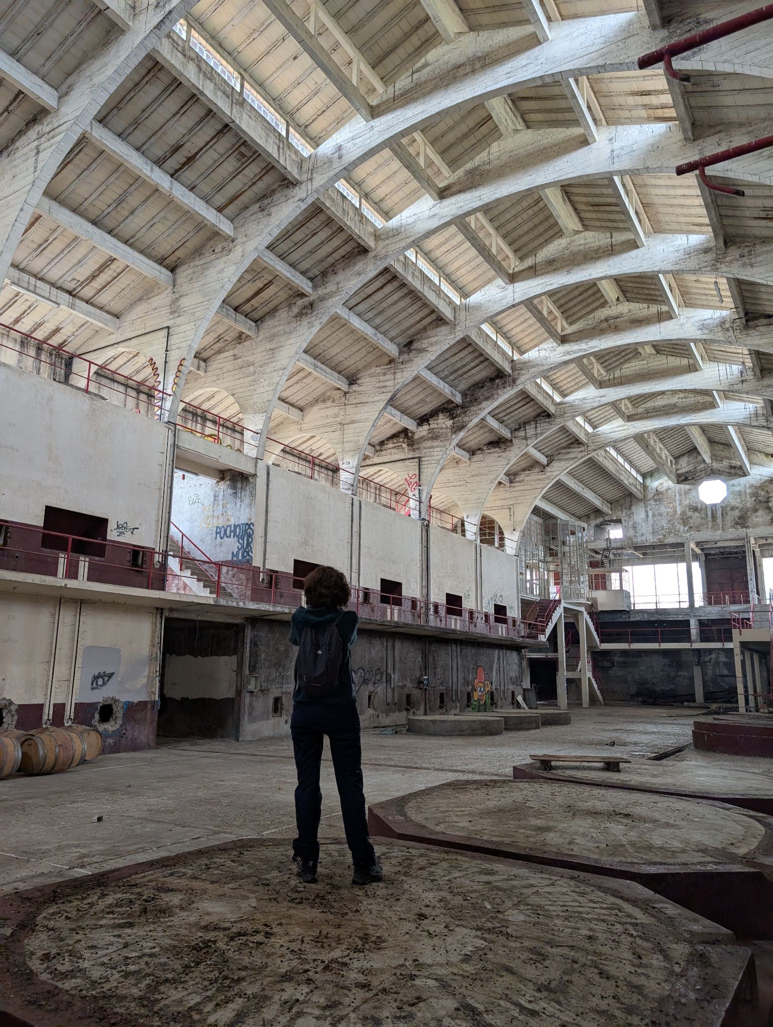 PXL 20250316 115037113