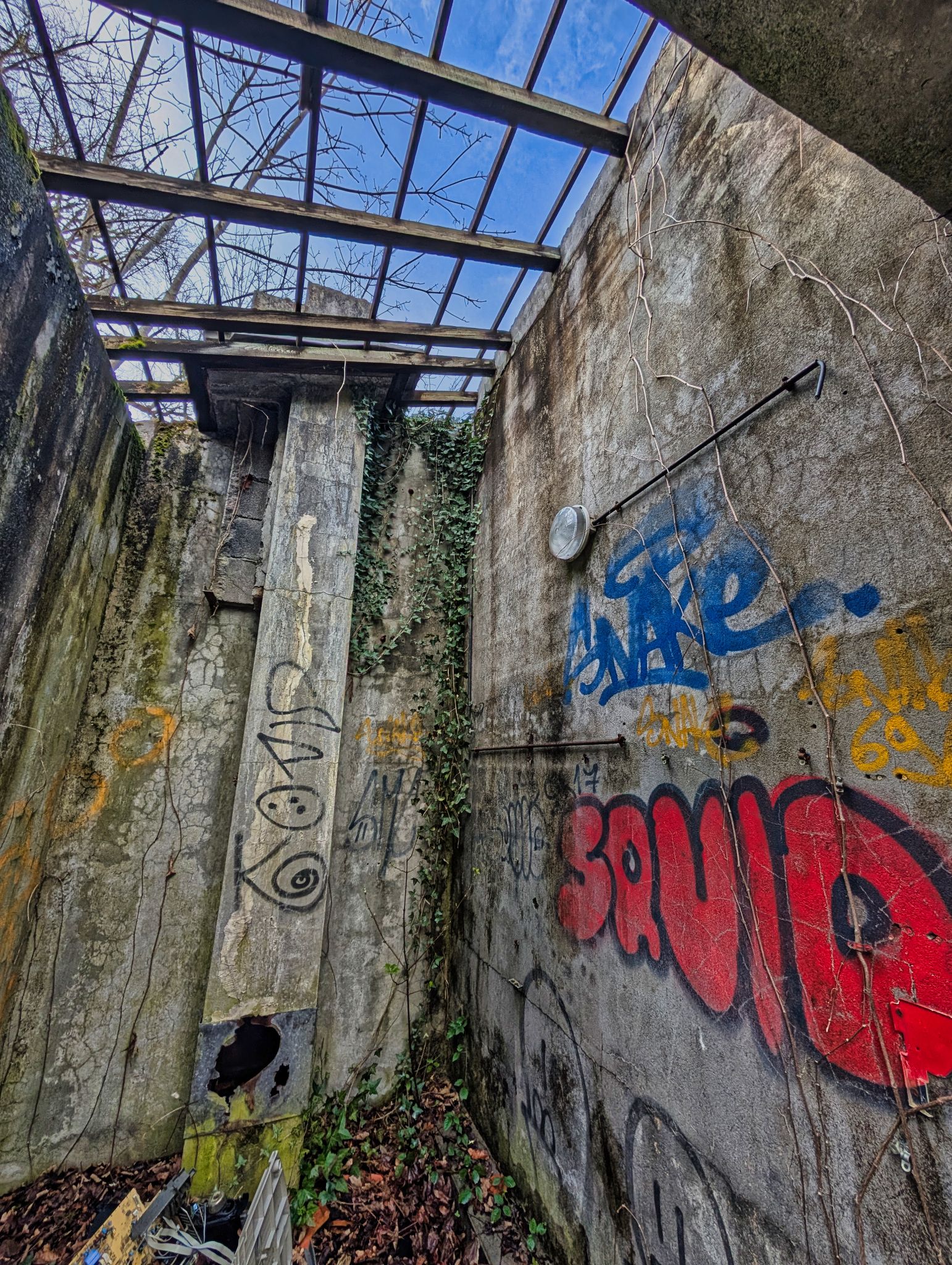 PXL 20250323 145029295