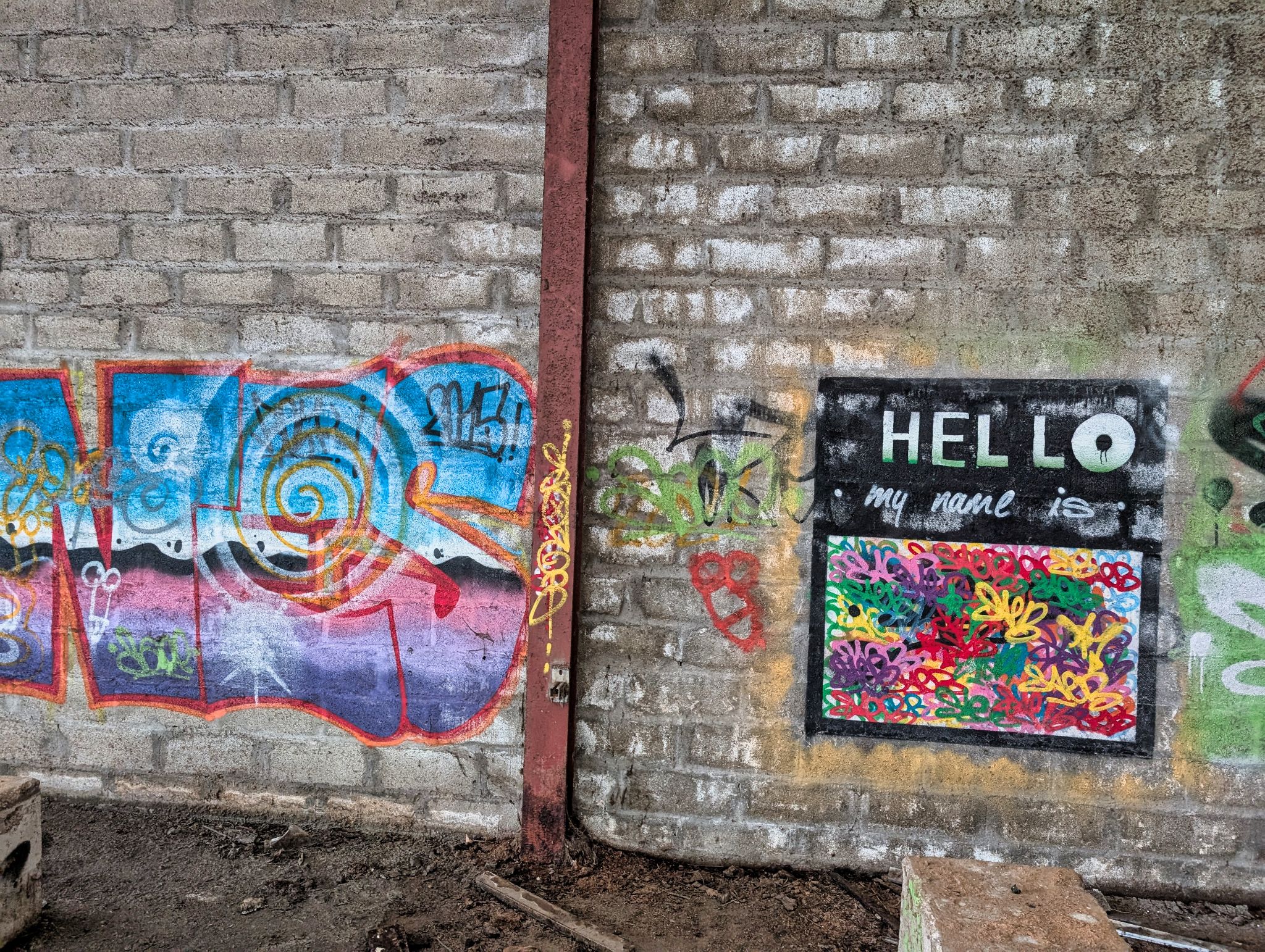 PXL 20250323 150626213