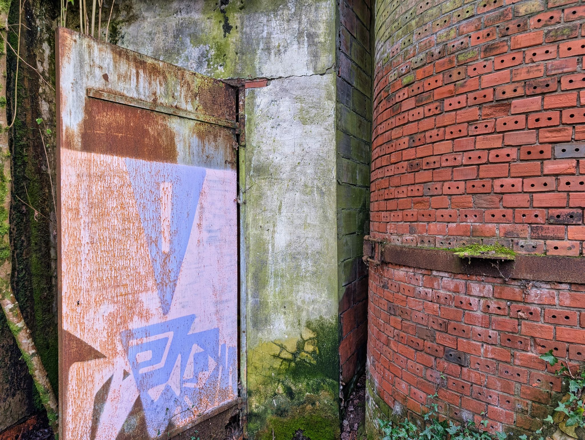 PXL 20250323 153229270