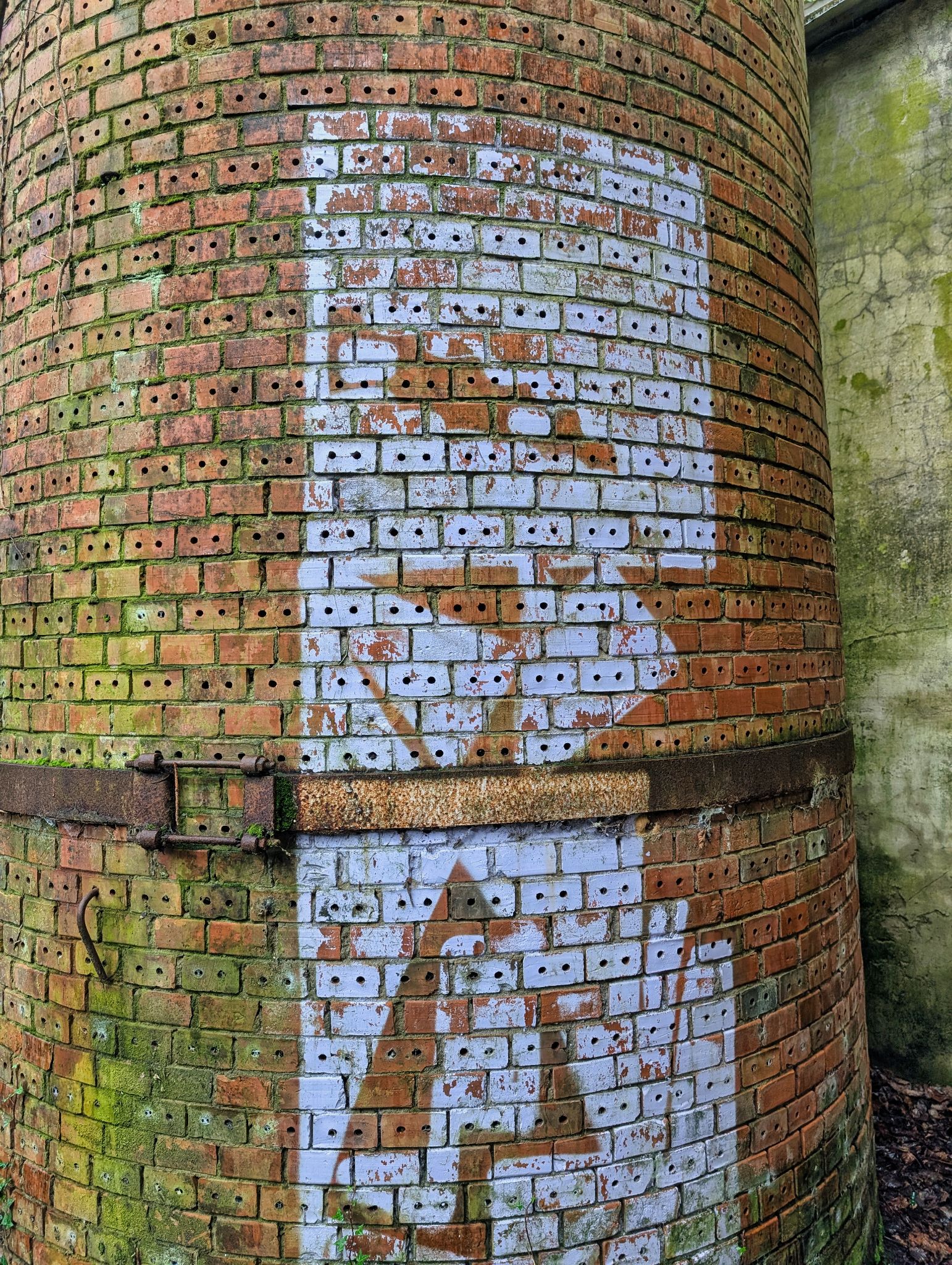 PXL 20250323 153323700