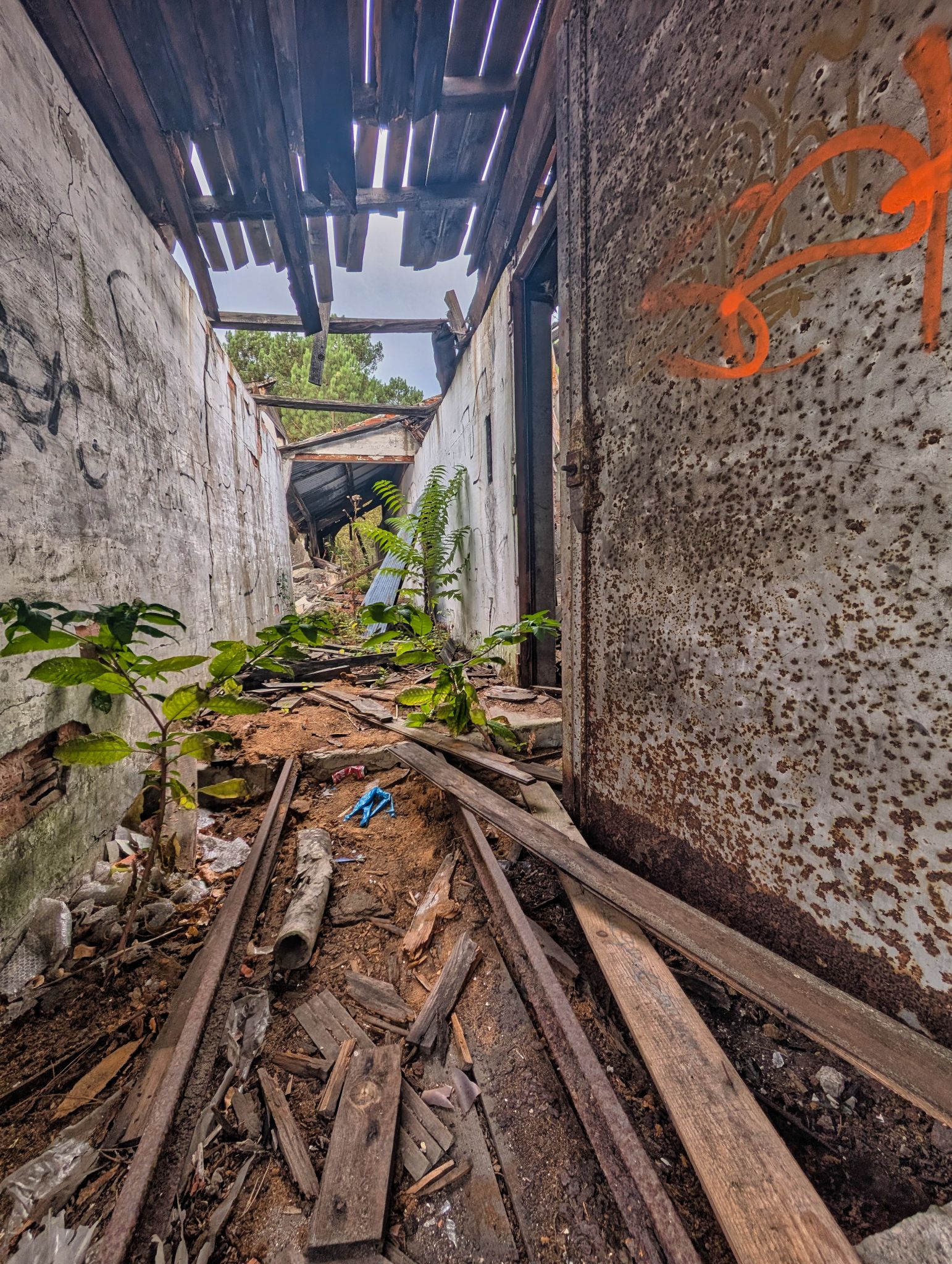 PXL 20250907 075704834