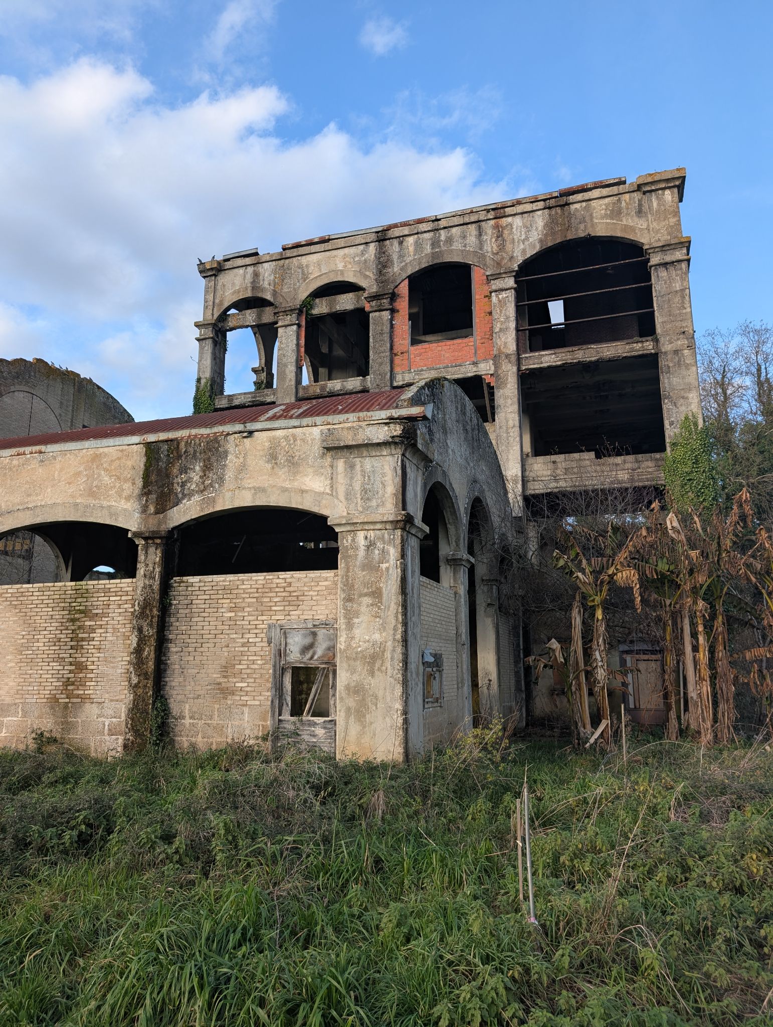 PXL 20251212 142741387.MP