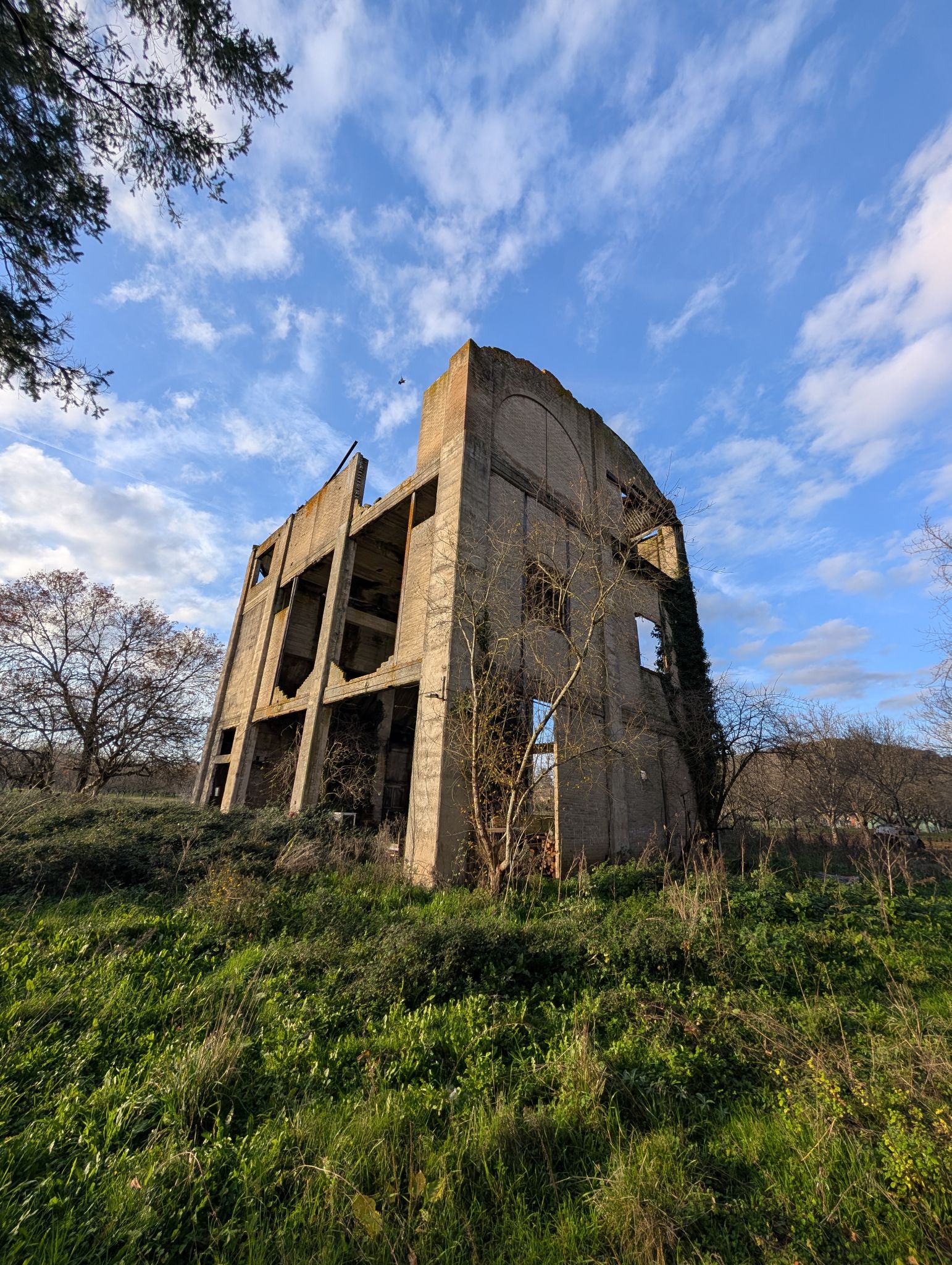 PXL 20251212 143243970